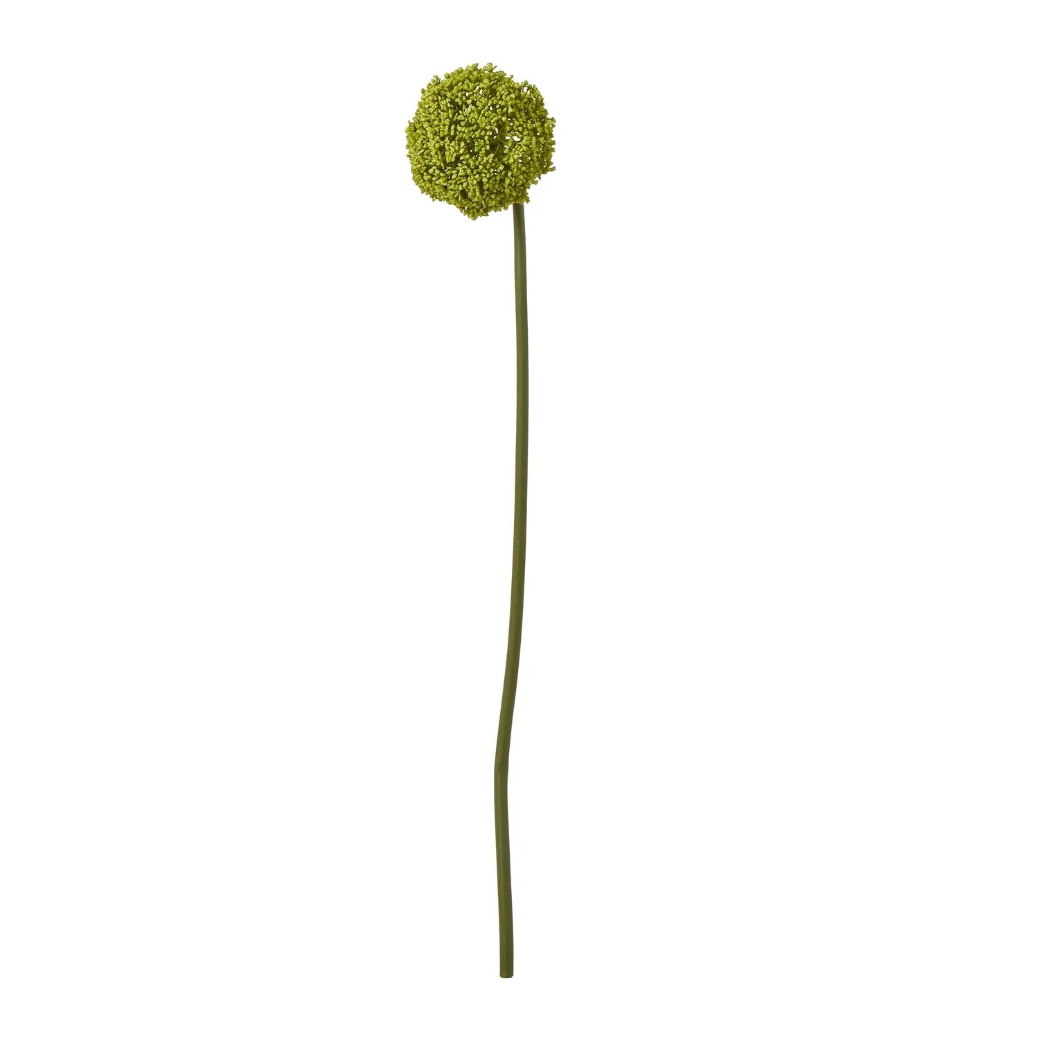 Green Allium Stem Makur Interior