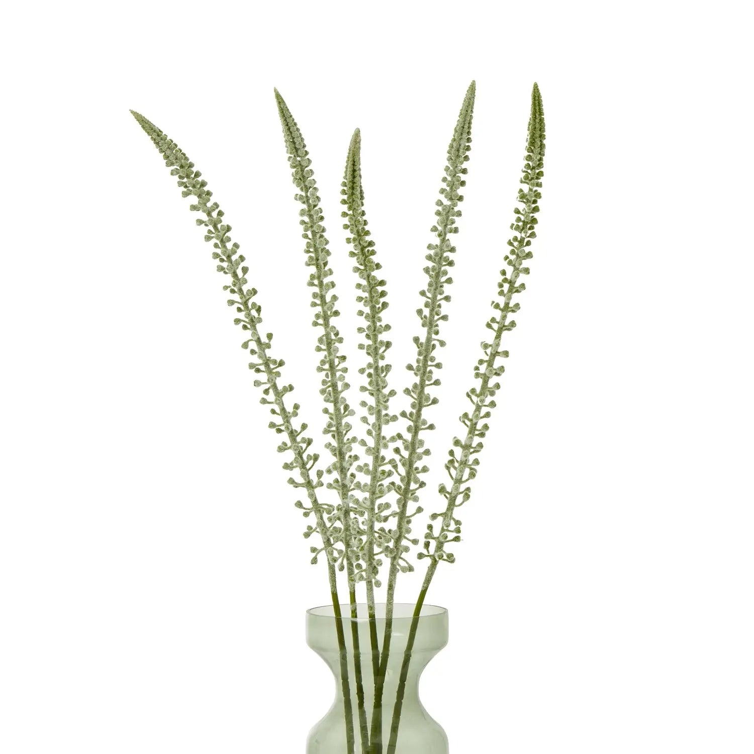 White Eremurus Stem Makur Interior