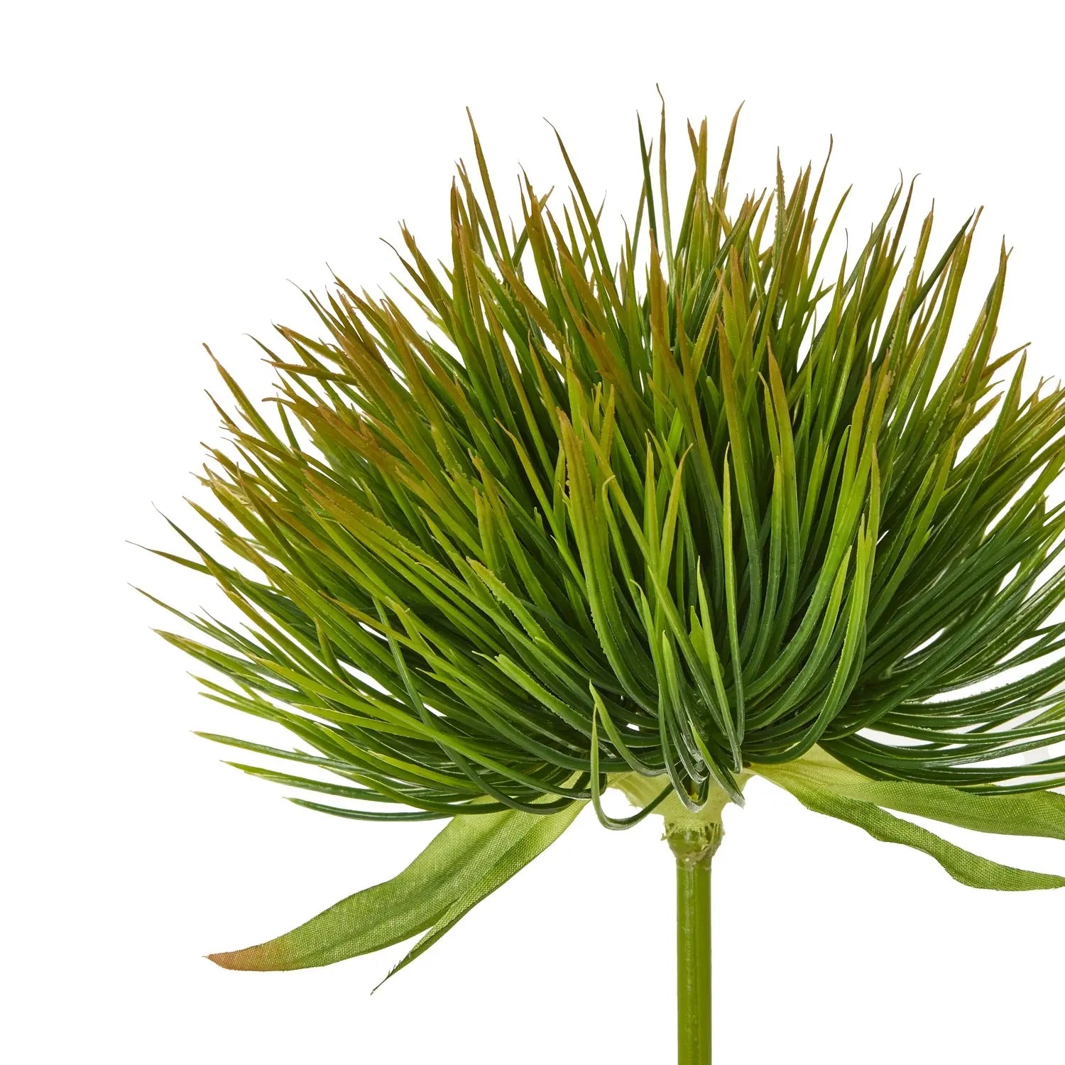 Green Moss Stem Makur Interior