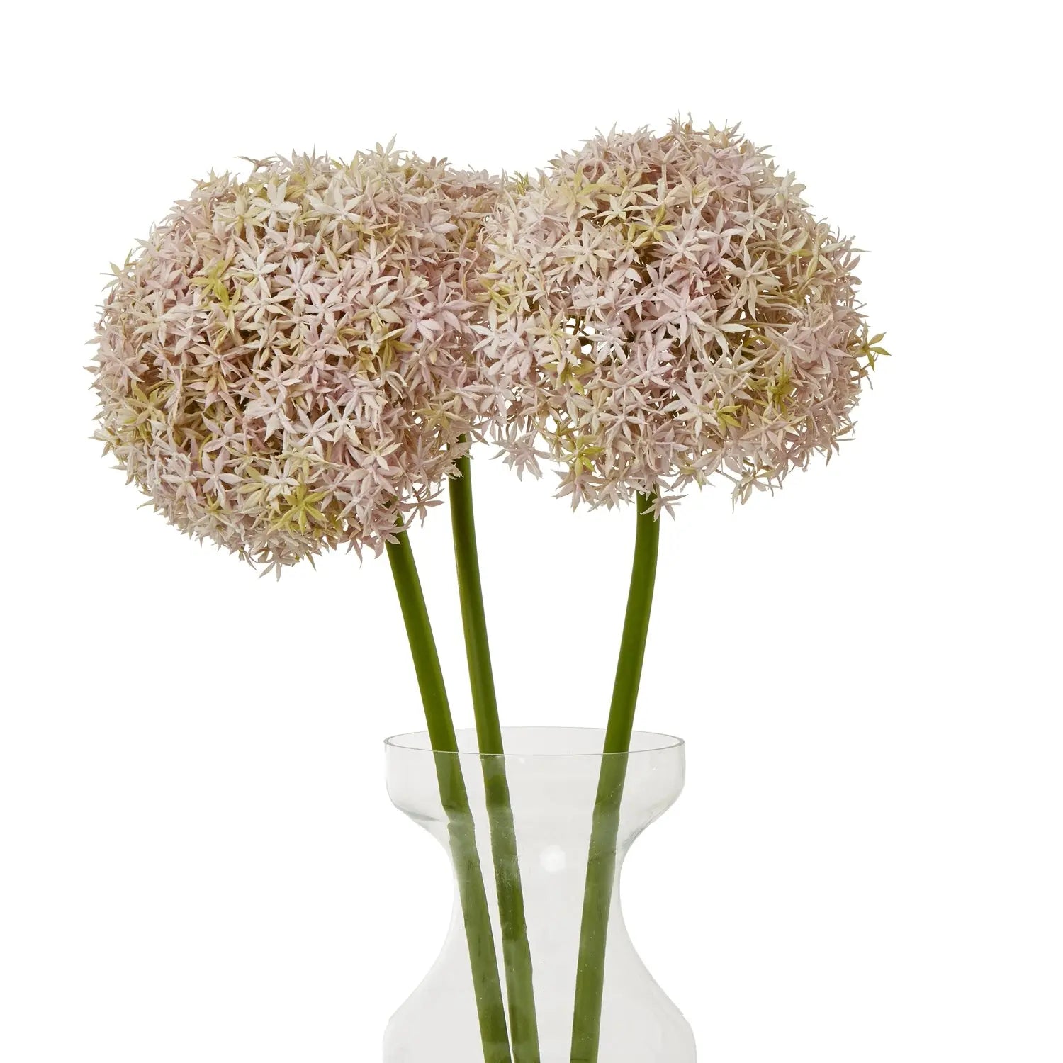 Lilac Giant Allium Stem Makur Interior