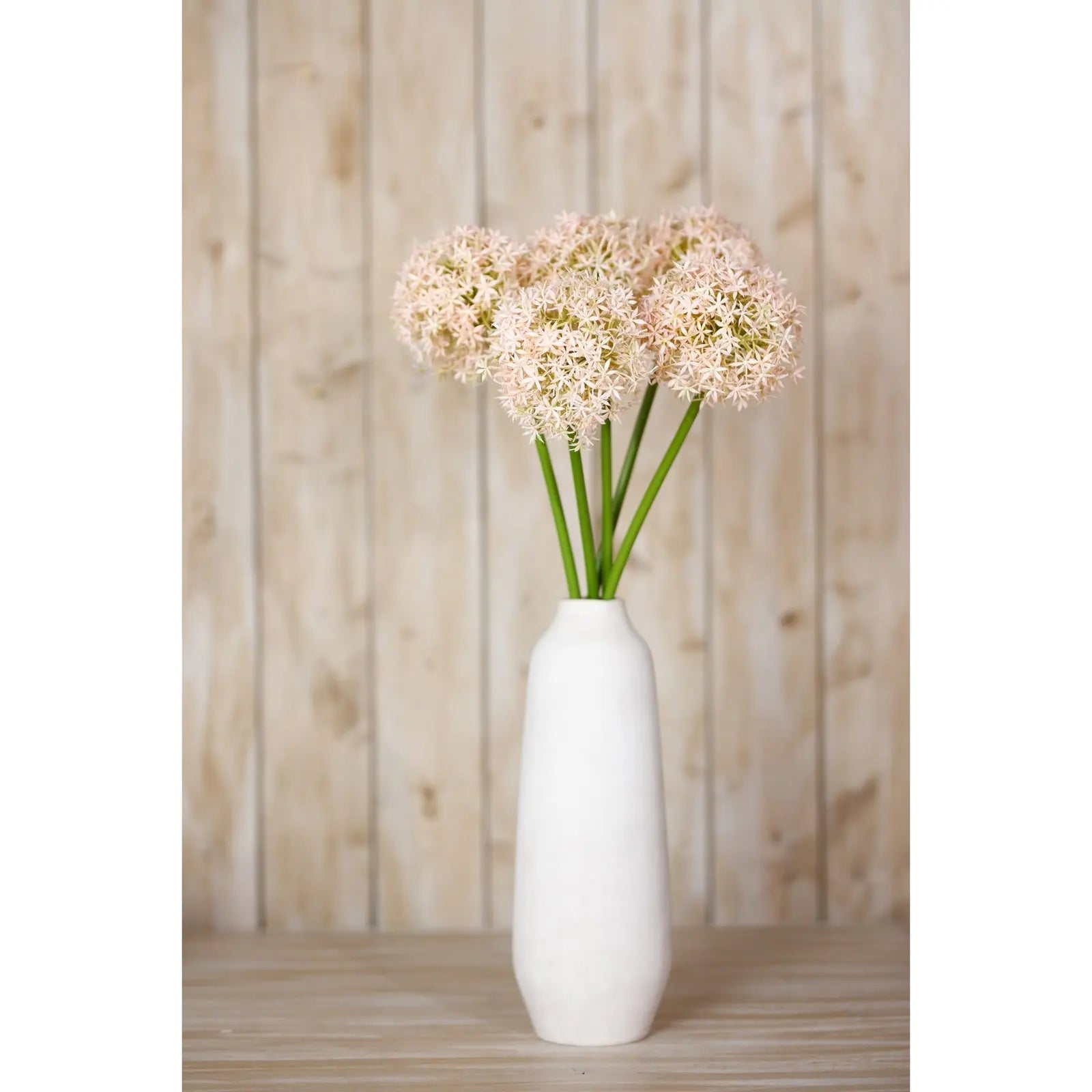 Pink Giant Allium Stem Makur Interior