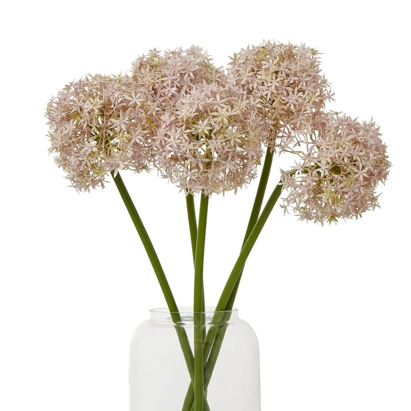 Lilac Medium Allium Stem Makur Interior