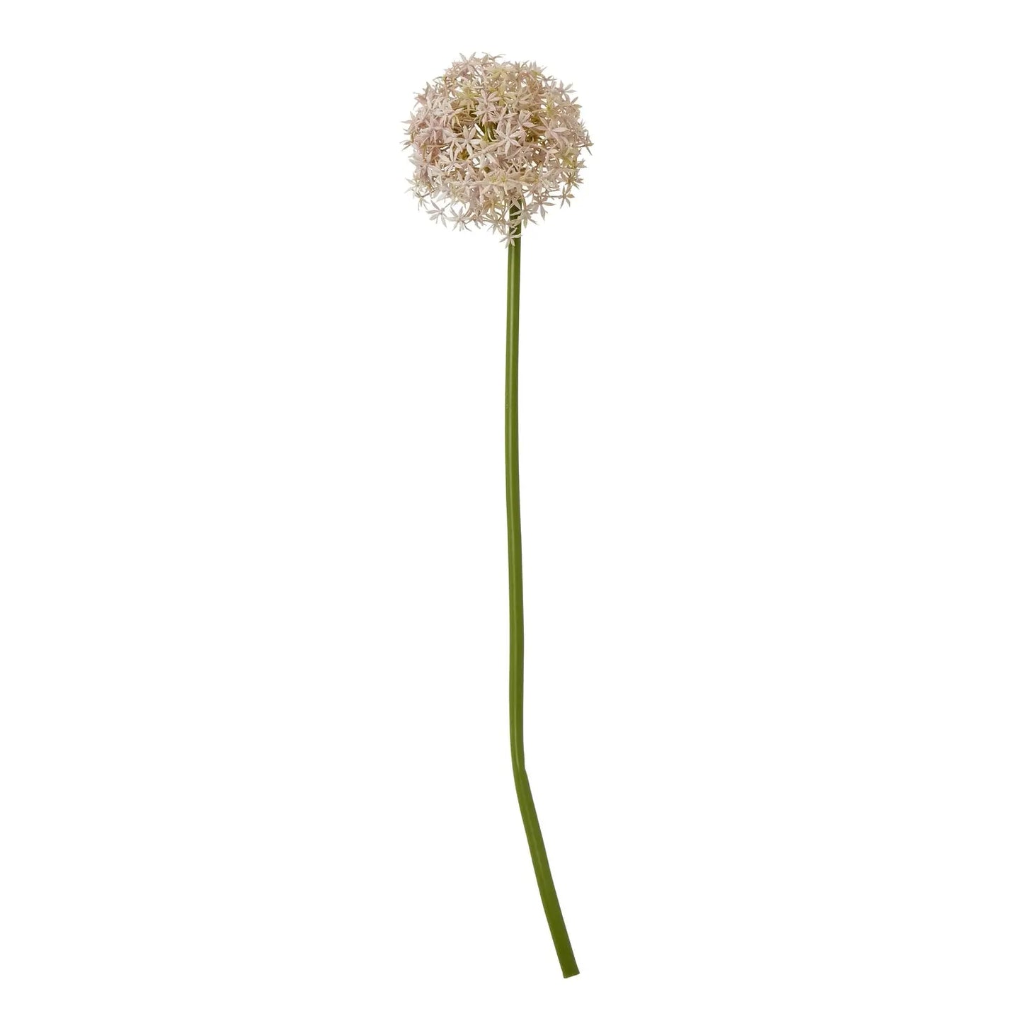 Lilac Medium Allium Stem Makur Interior