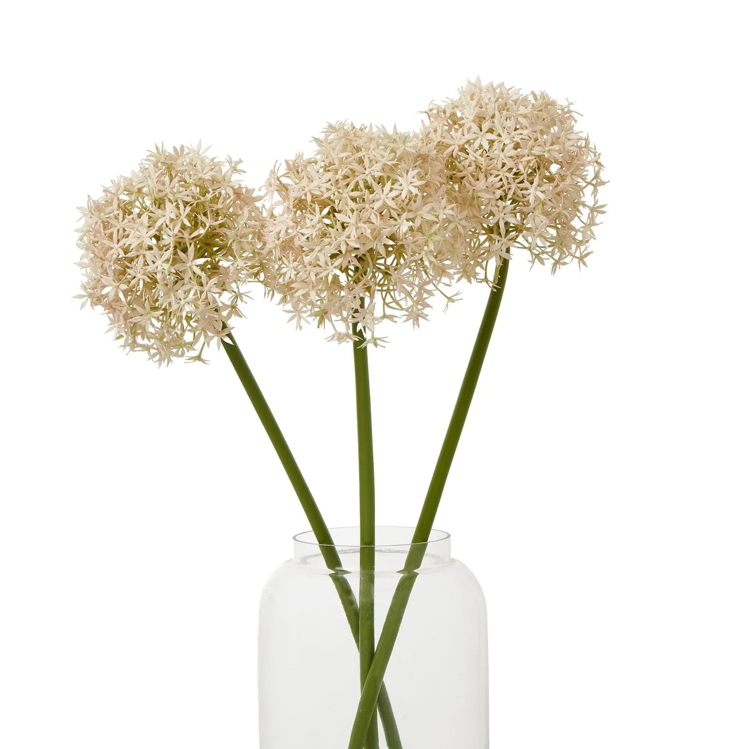 Pink Medium Allium Stem Makur Interior