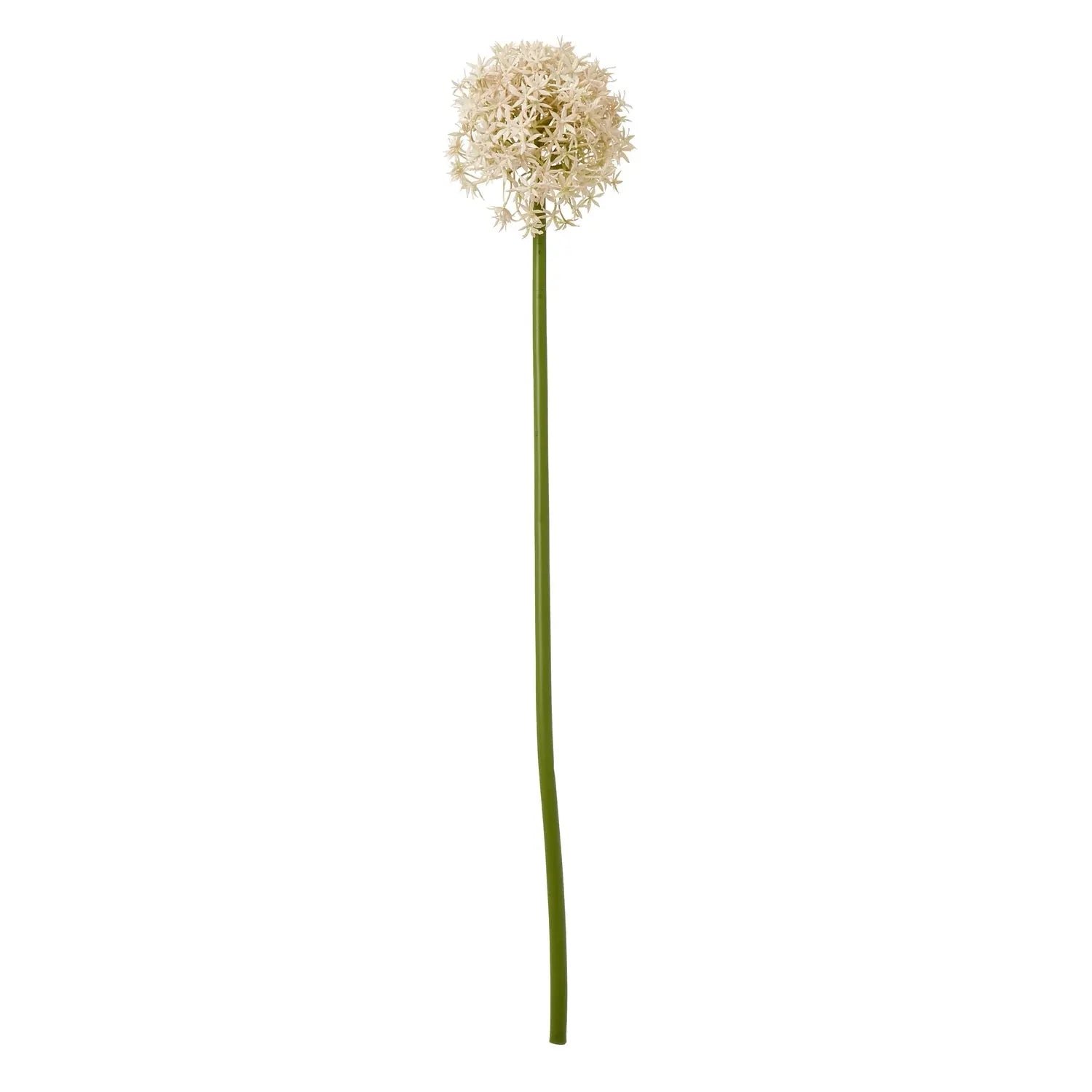 Pink Medium Allium Stem Makur Interior