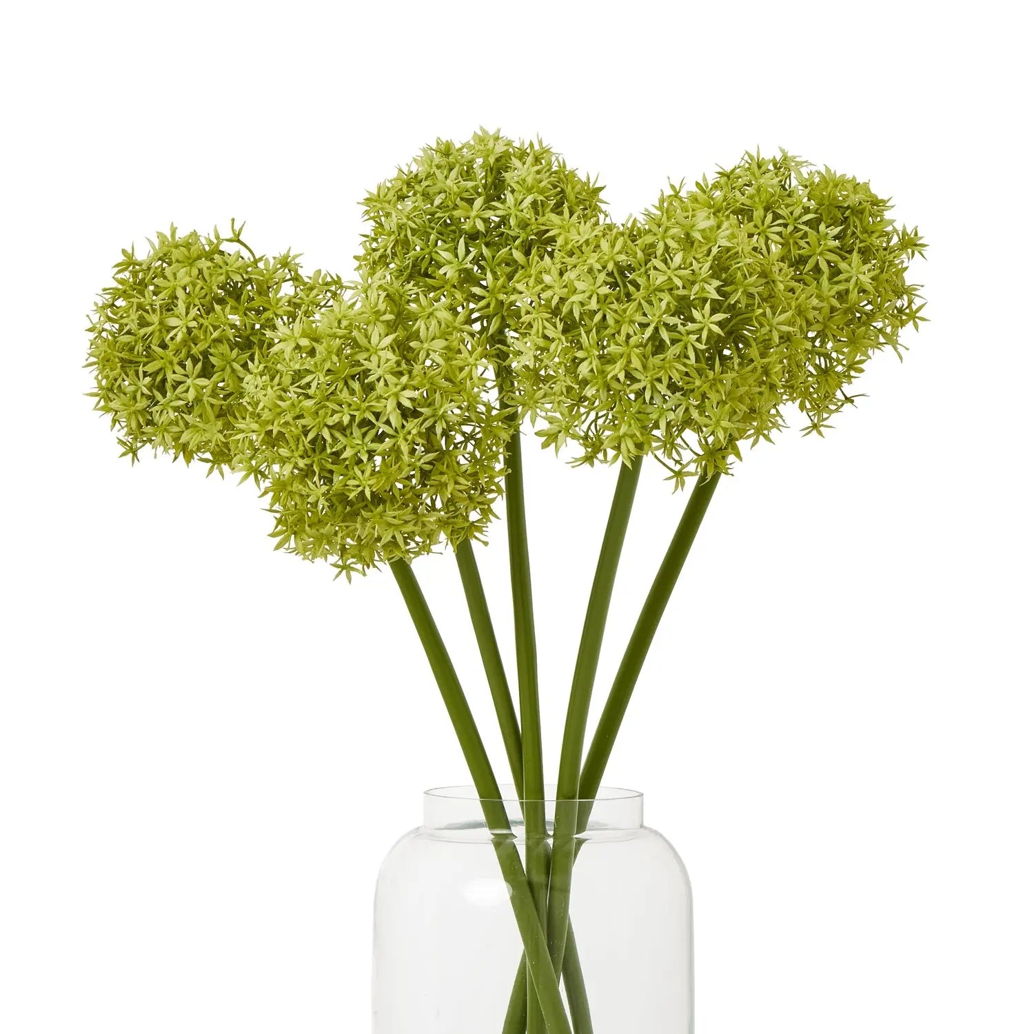 Green Medium Allium Stem Makur Interior