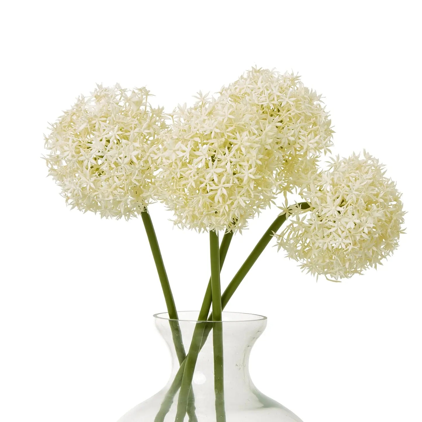 Cream Medium Allium Stem Makur Interior