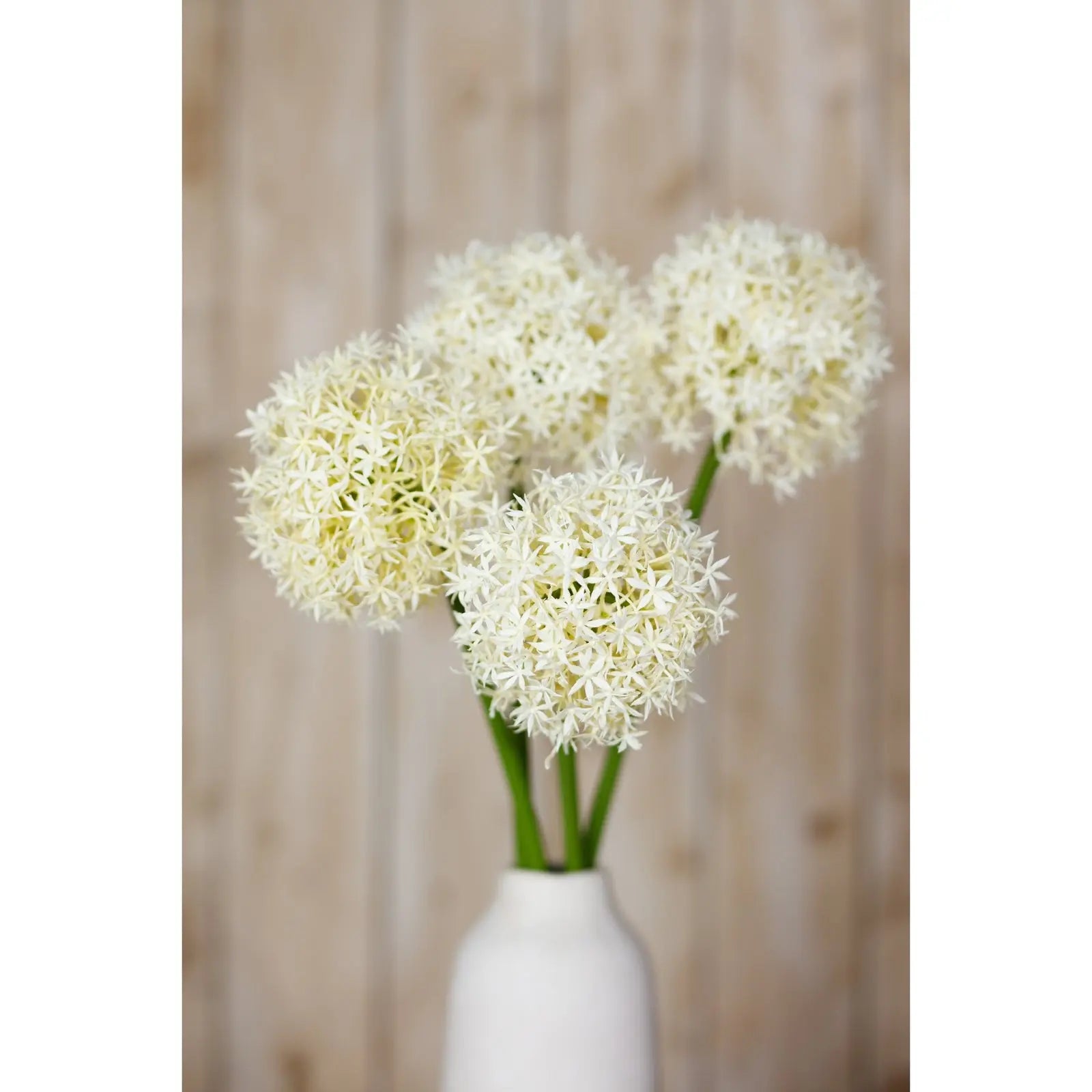 Cream Medium Allium Stem Makur Interior
