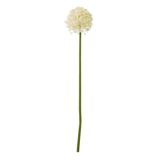 Cream Medium Allium Stem Makur Interior