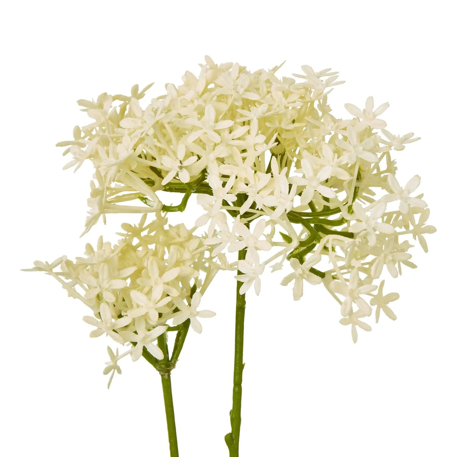 Cream Crown Hydrangea Stem Makur Interior