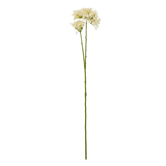 Cream Crown Hydrangea Stem Makur Interior