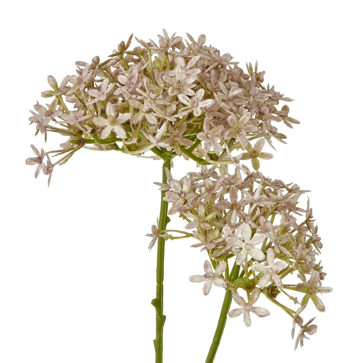 Lilac Crown Hydrangea Stem Makur Interior