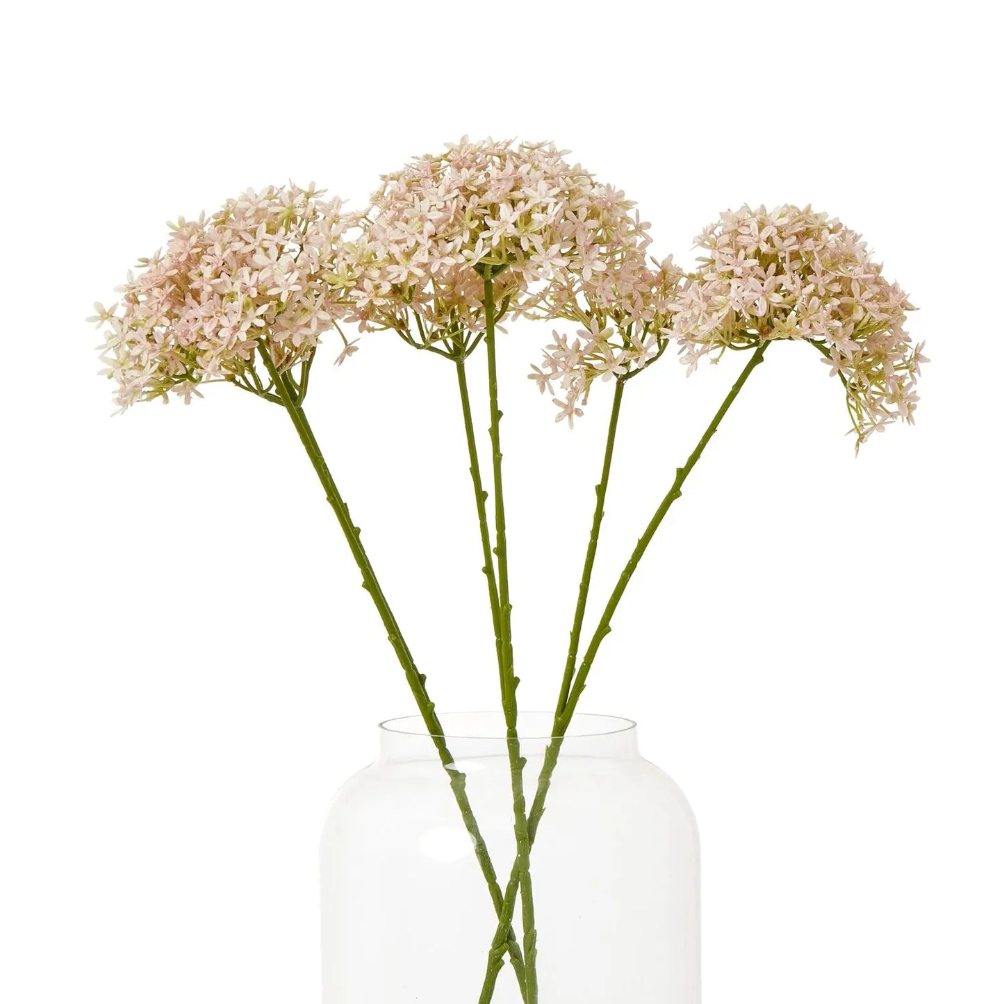 Pink Crown Hydrangea Stem Makur Interior