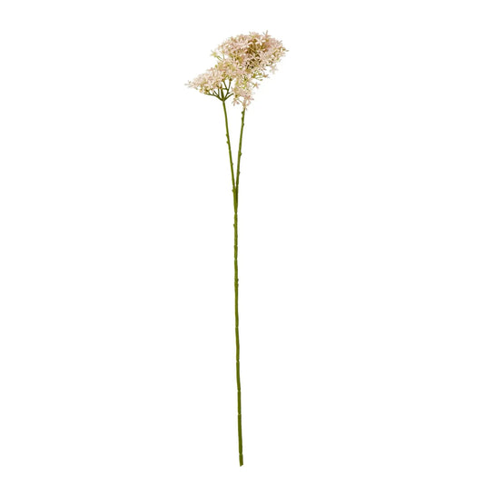 Pink Crown Hydrangea Stem Makur Interior