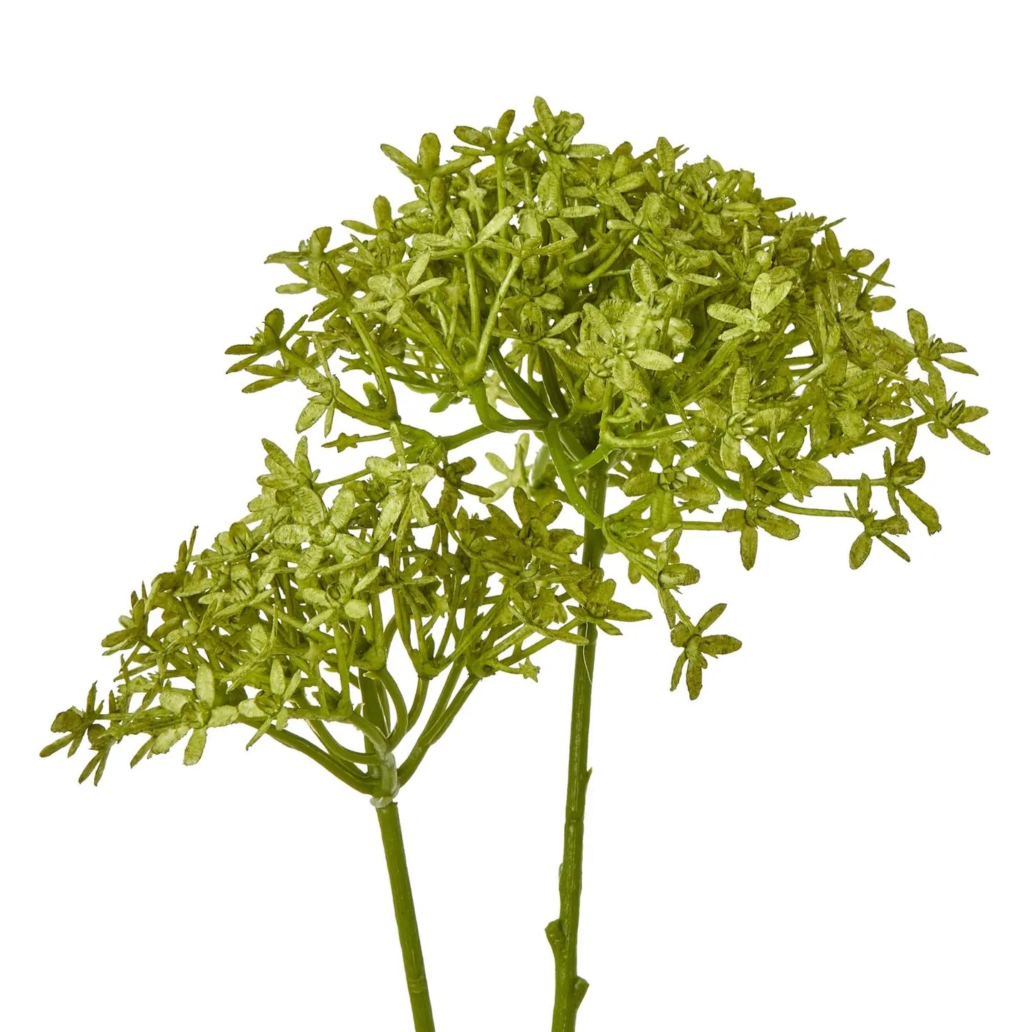 Green Crown Hydrangea Stem Makur Interior