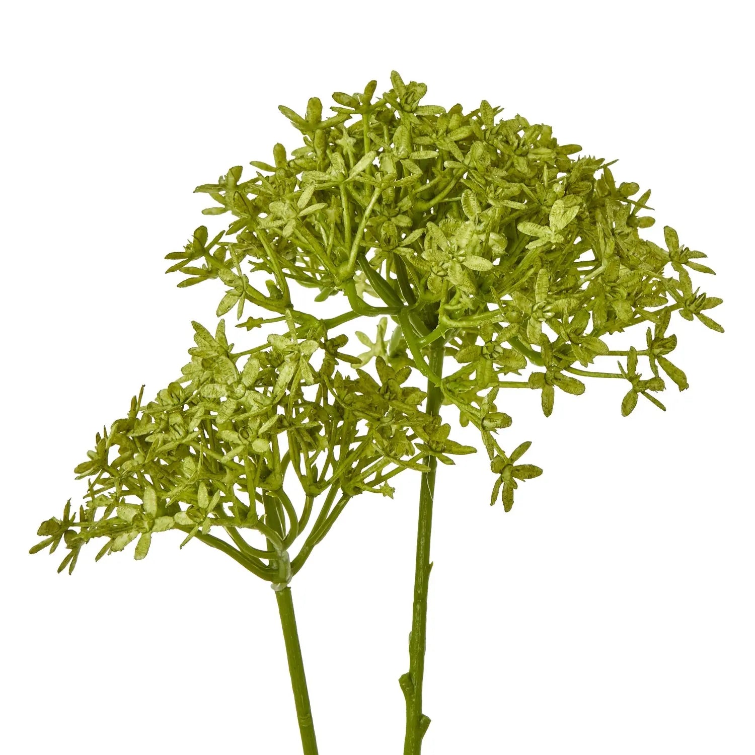 Green Crown Hydrangea Stem Makur Interior
