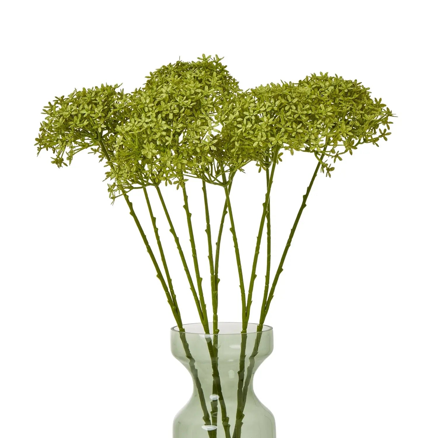 Green Crown Hydrangea Stem Makur Interior