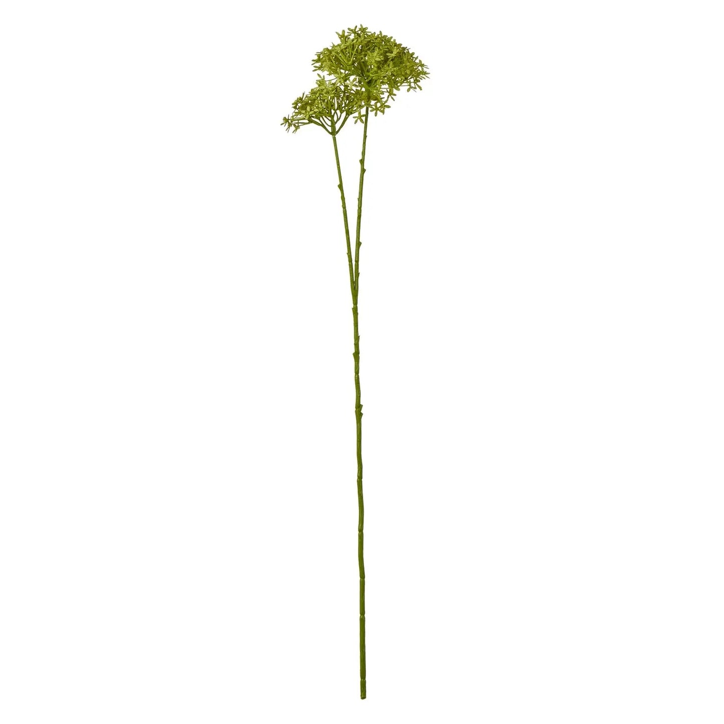 Green Crown Hydrangea Stem Makur Interior