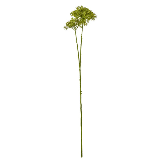 Green Crown Hydrangea Stem Makur Interior