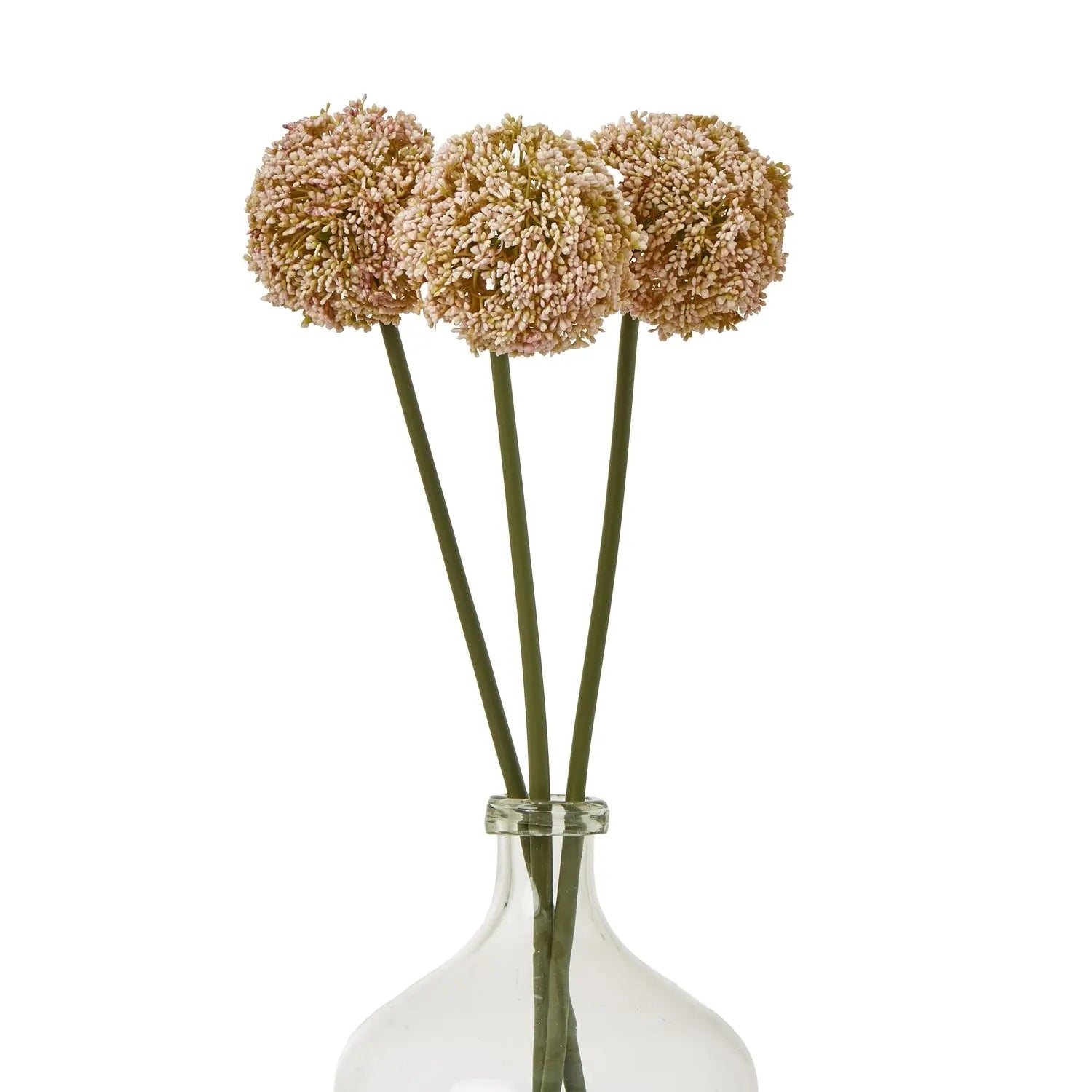 Pink Allium Stem Makur Interior