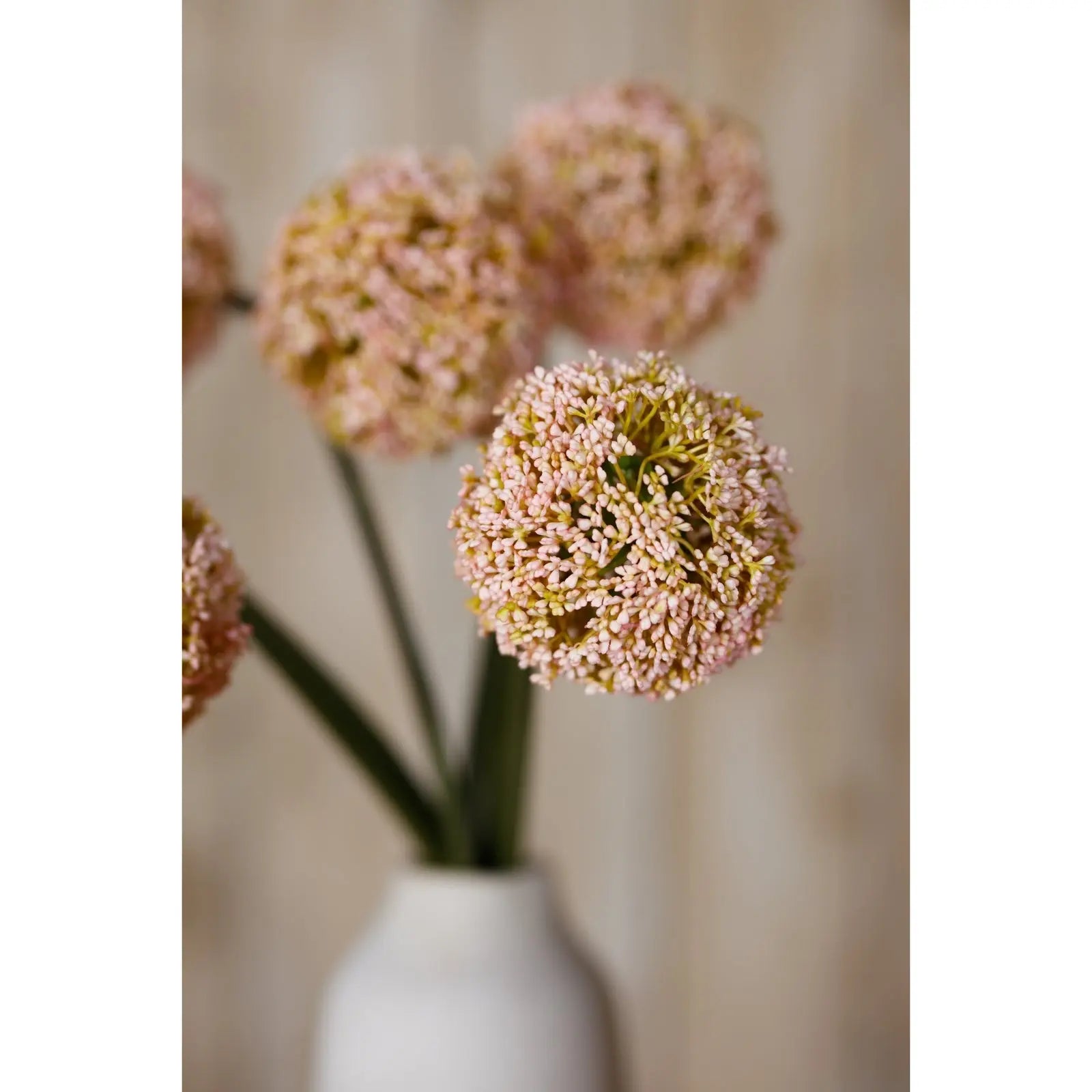 Pink Allium Stem Makur Interior