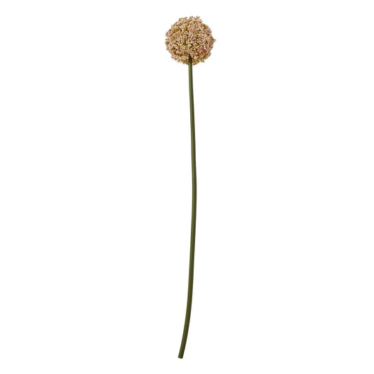 Pink Allium Stem Makur Interior