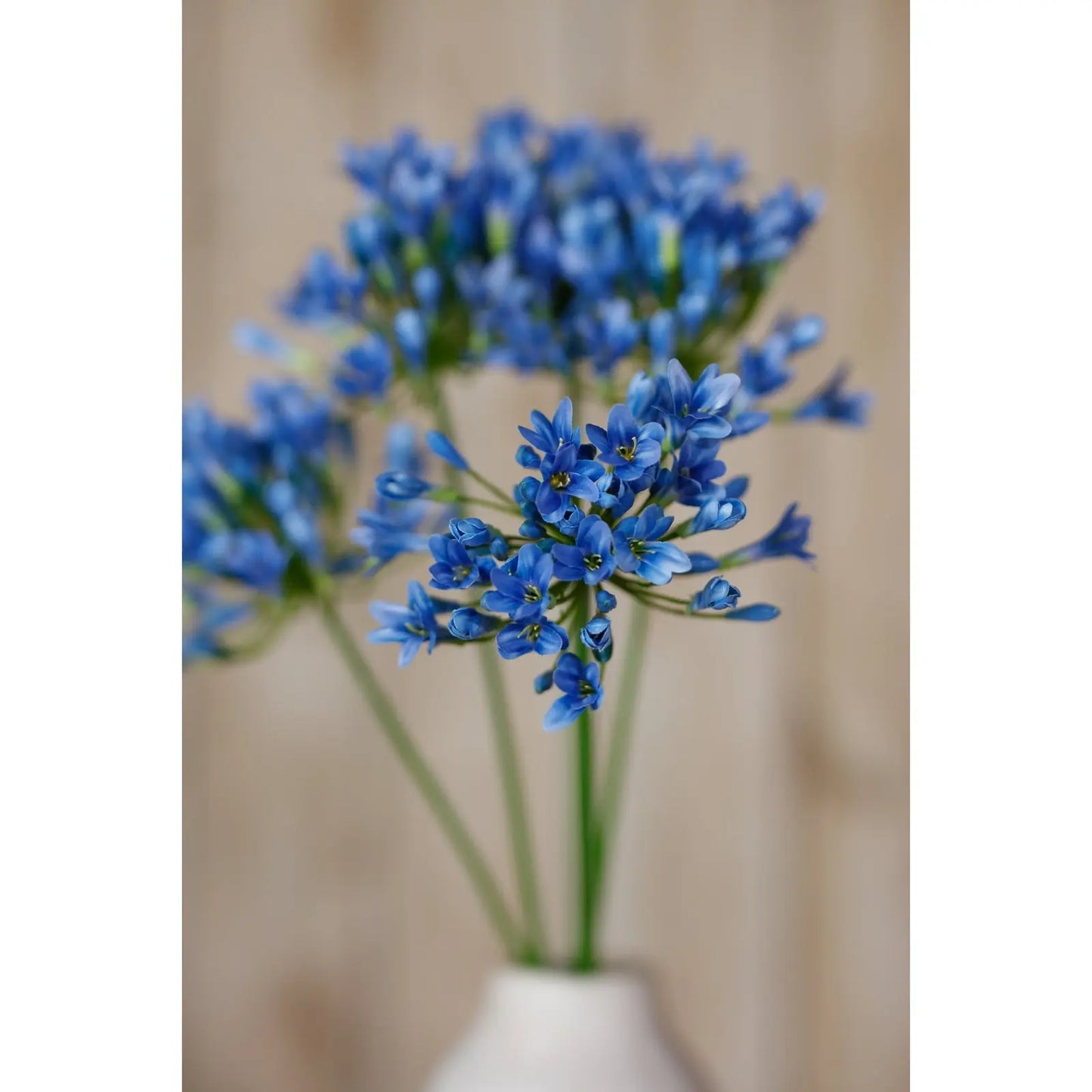Blue Agapanthus Stem Makur Interior