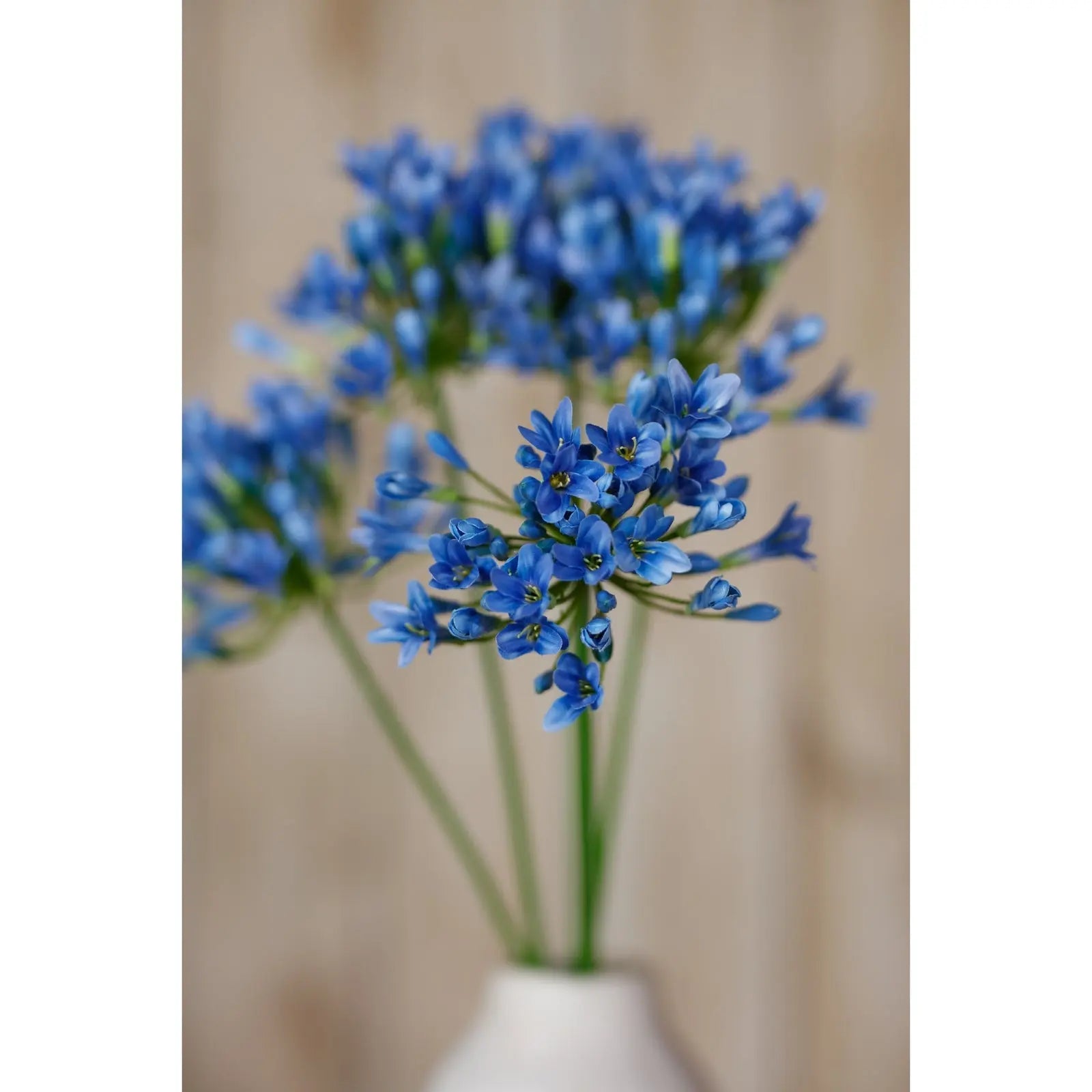 Blue Agapanthus Stem Makur Interior