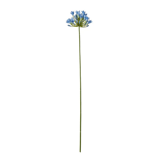 Blue Agapanthus Stem Makur Interior