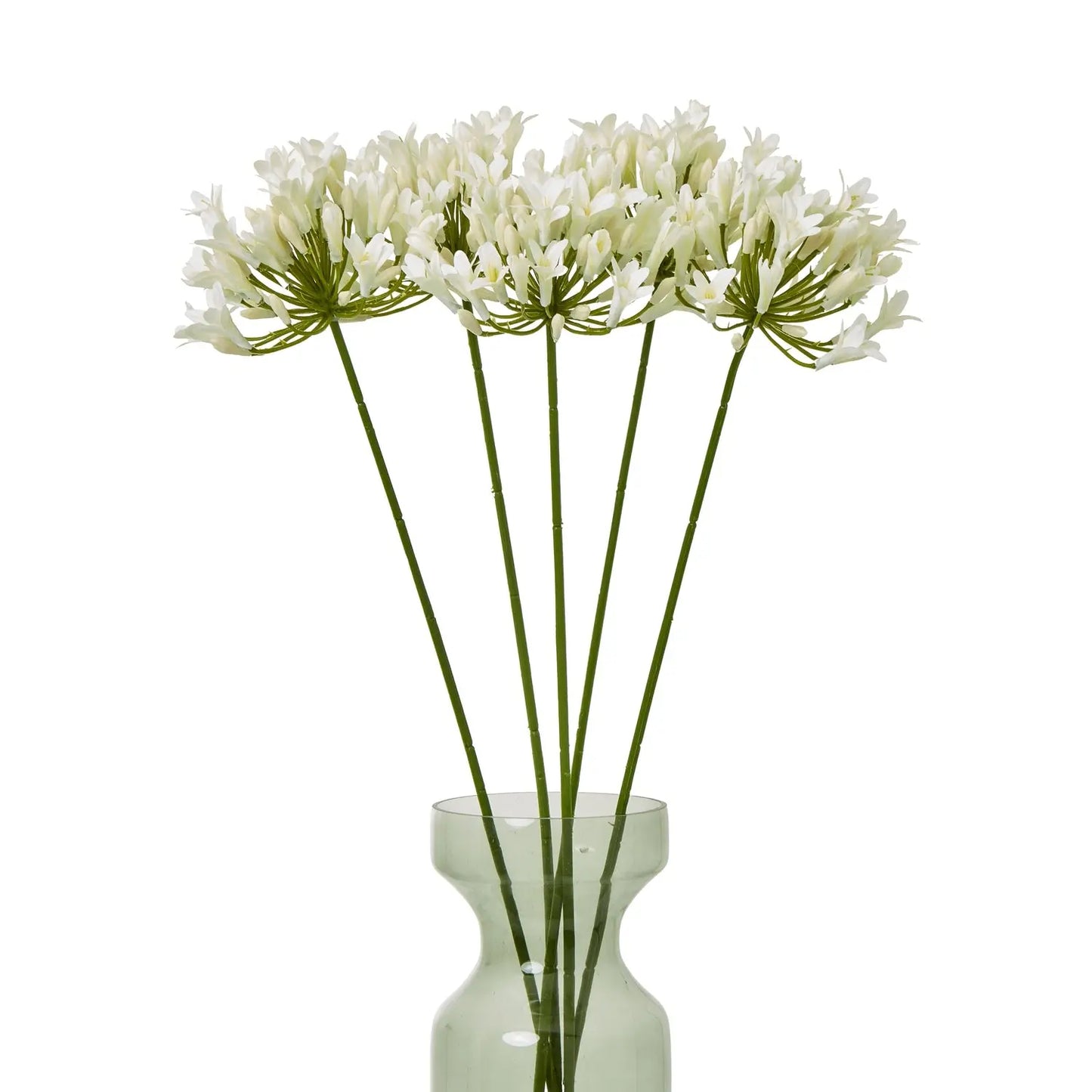 Cream Agapanthus Spray Makur Interior