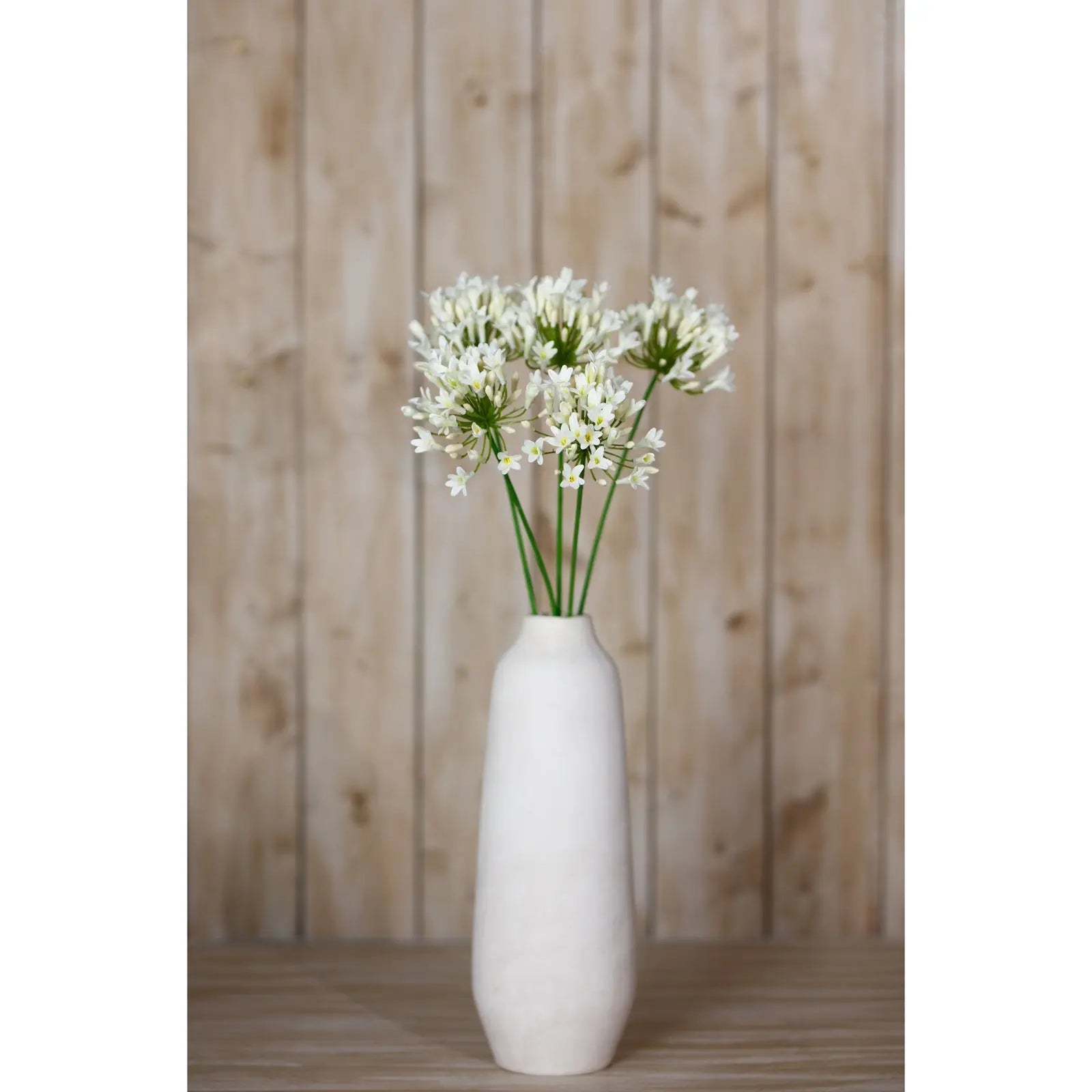 Cream Agapanthus Spray Makur Interior