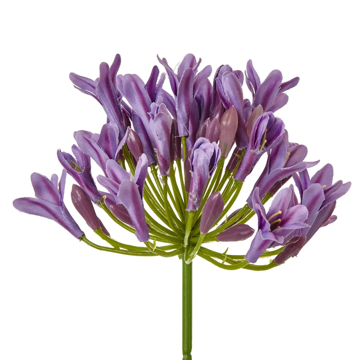 Lilac Agapanthus Spray Makur Interior