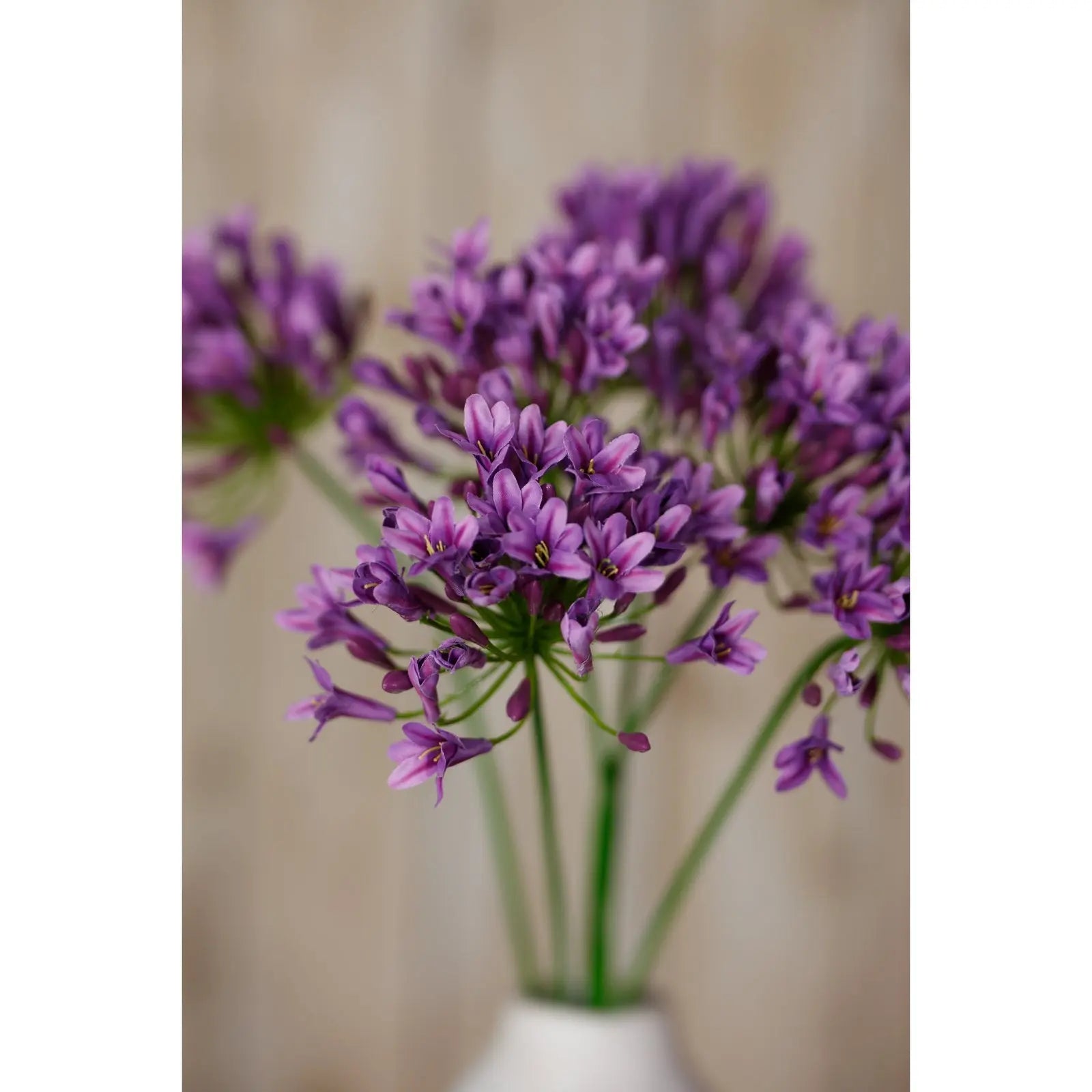 Lilac Agapanthus Spray Makur Interior