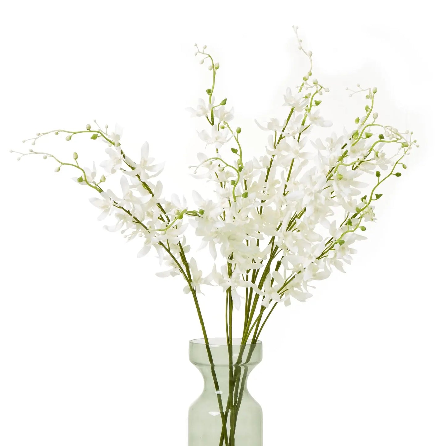White Cymbidium Spray Makur Interior