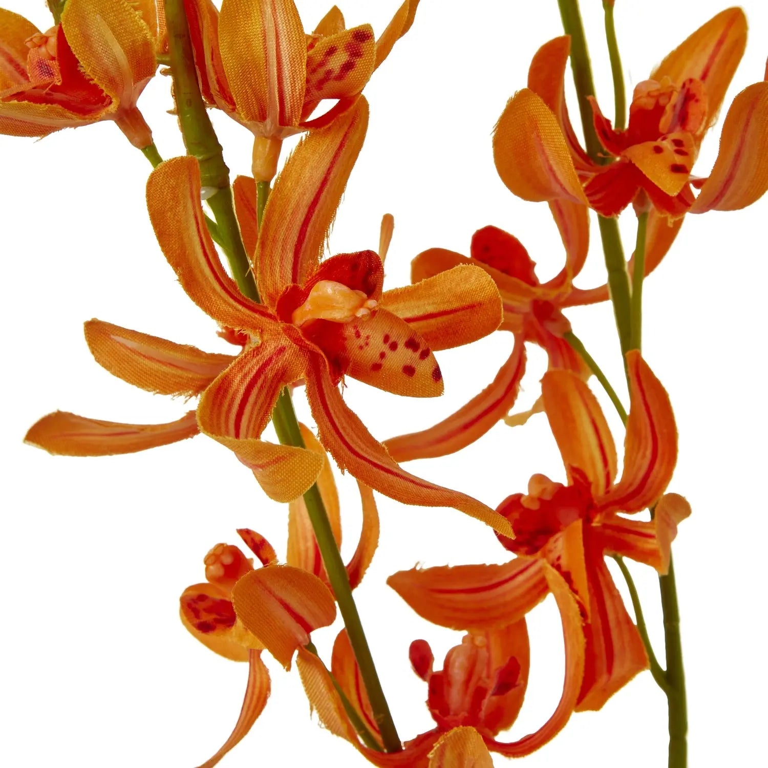 Orange Cymbidium Spray Makur Interior