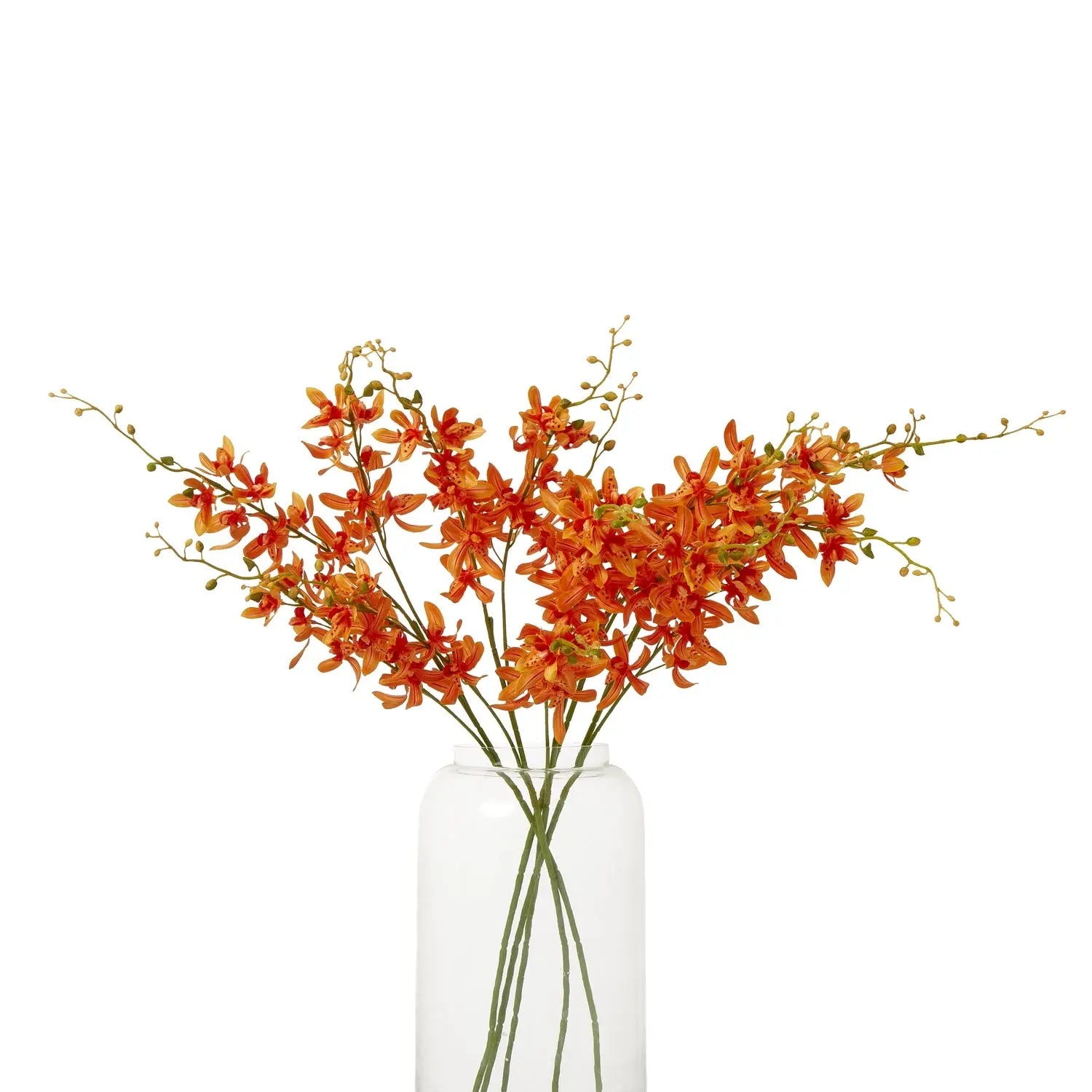 Orange Cymbidium Spray Makur Interior