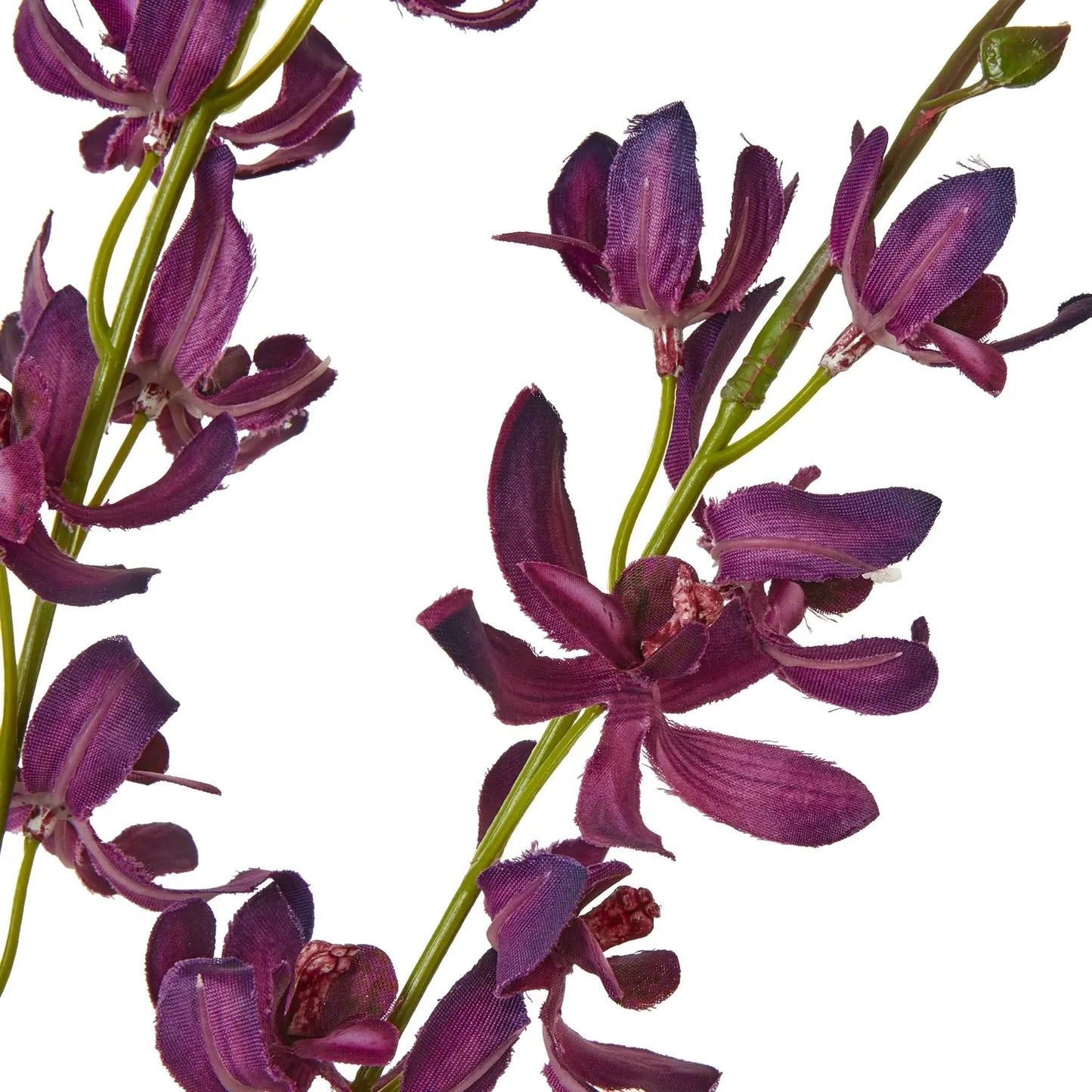Purple Cymbidium Spray Makur Interior