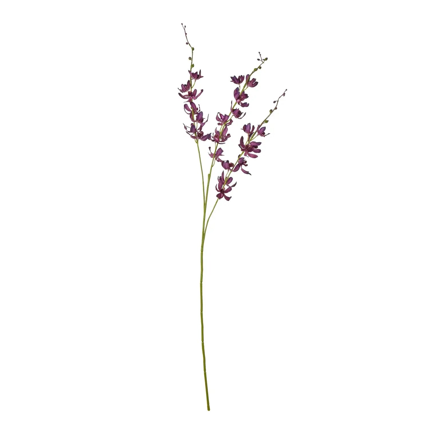 Purple Cymbidium Spray Makur Interior