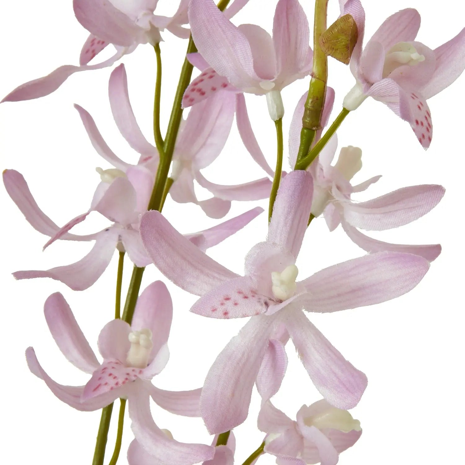 Lilac Cymbidium Spray Makur Interior