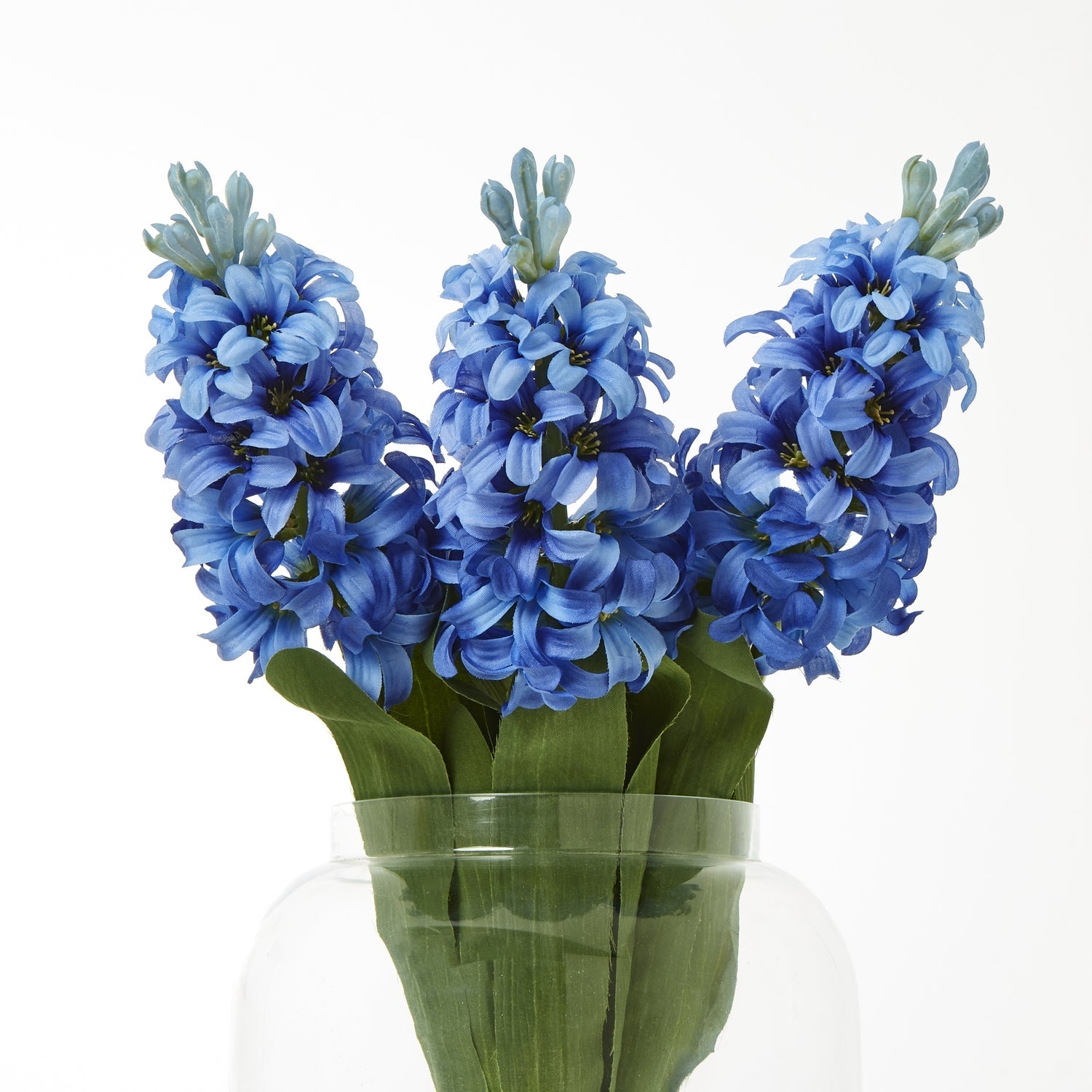Blue Hyacinth Stem Makur Interior