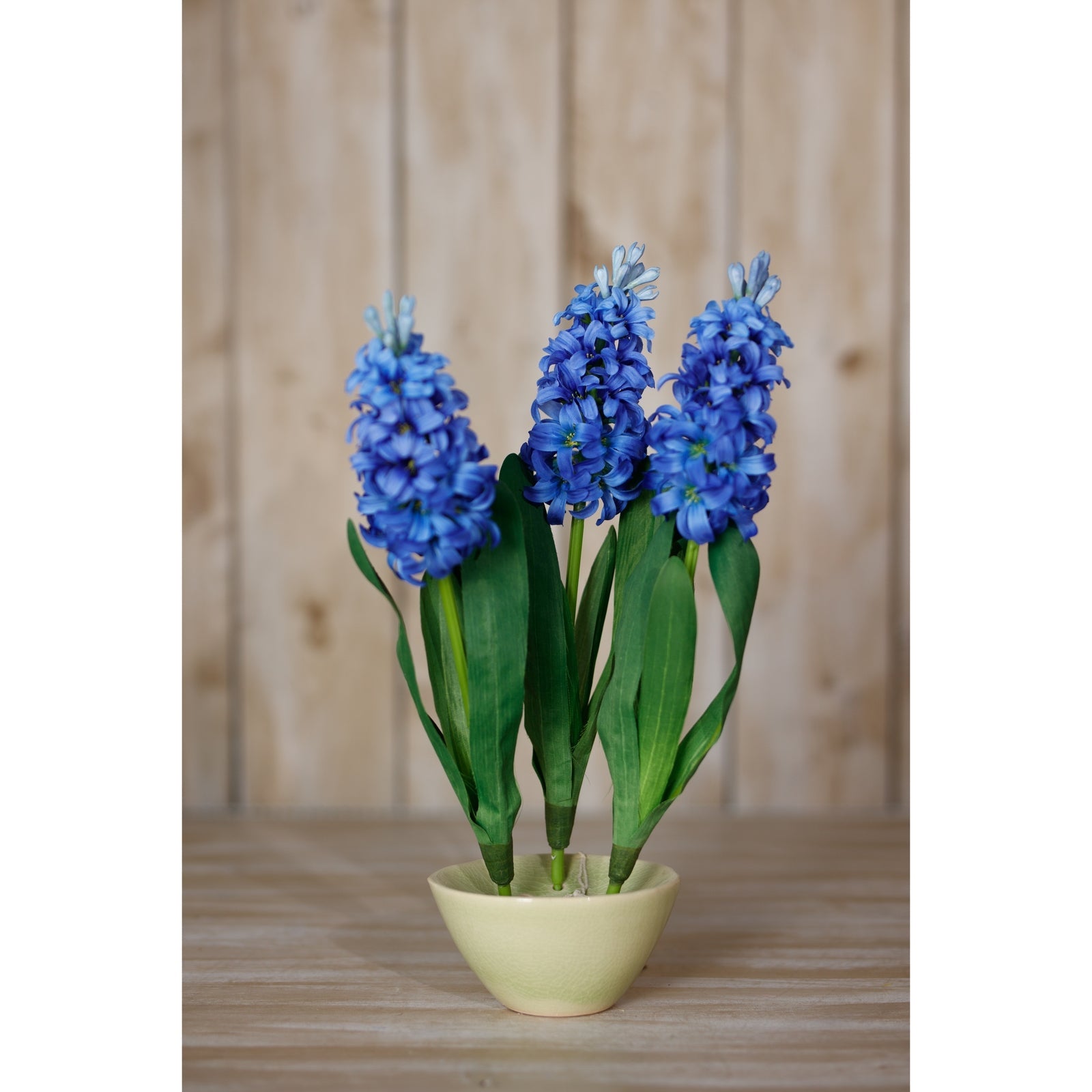 Blue Hyacinth Stem Makur Interior