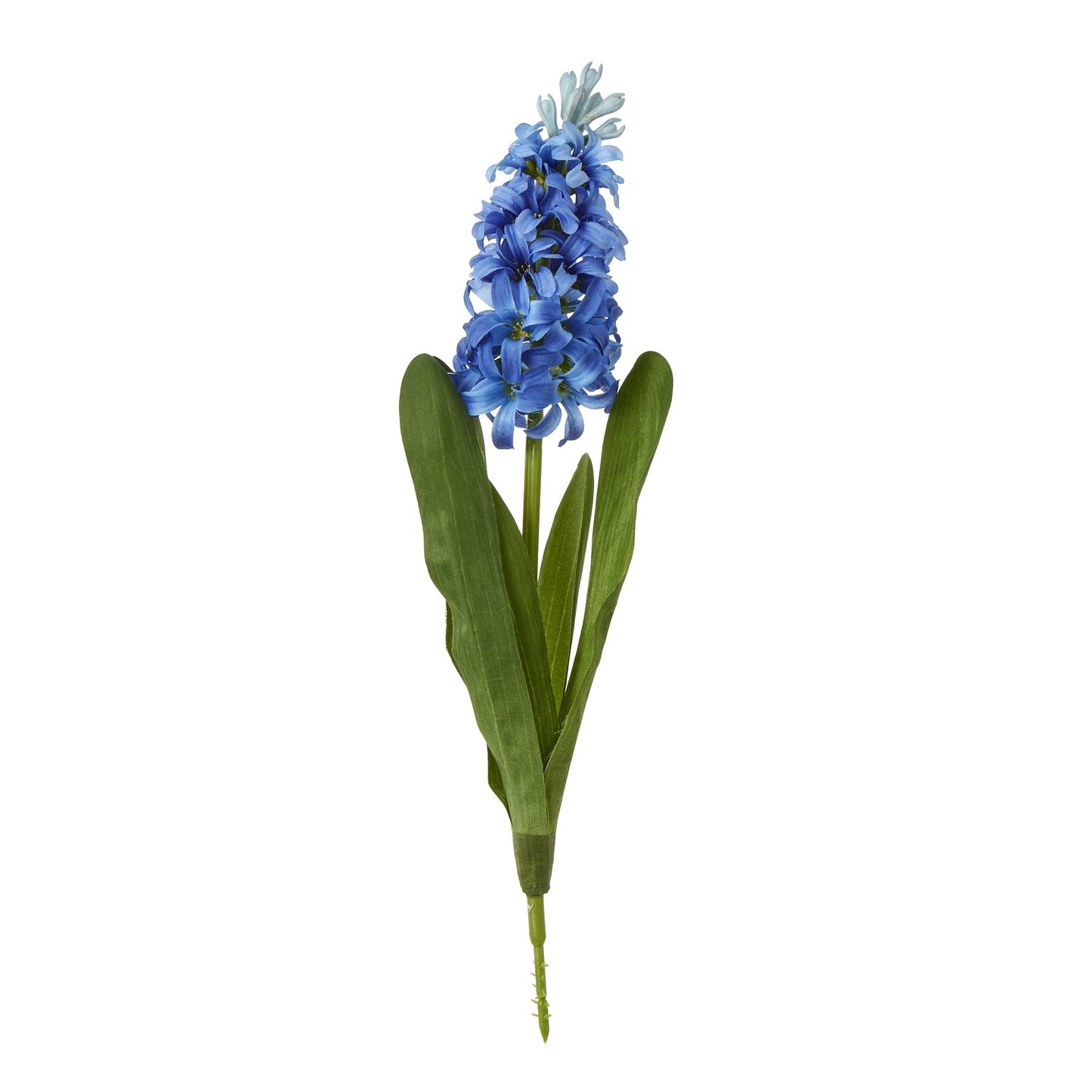Blue Hyacinth Stem Makur Interior