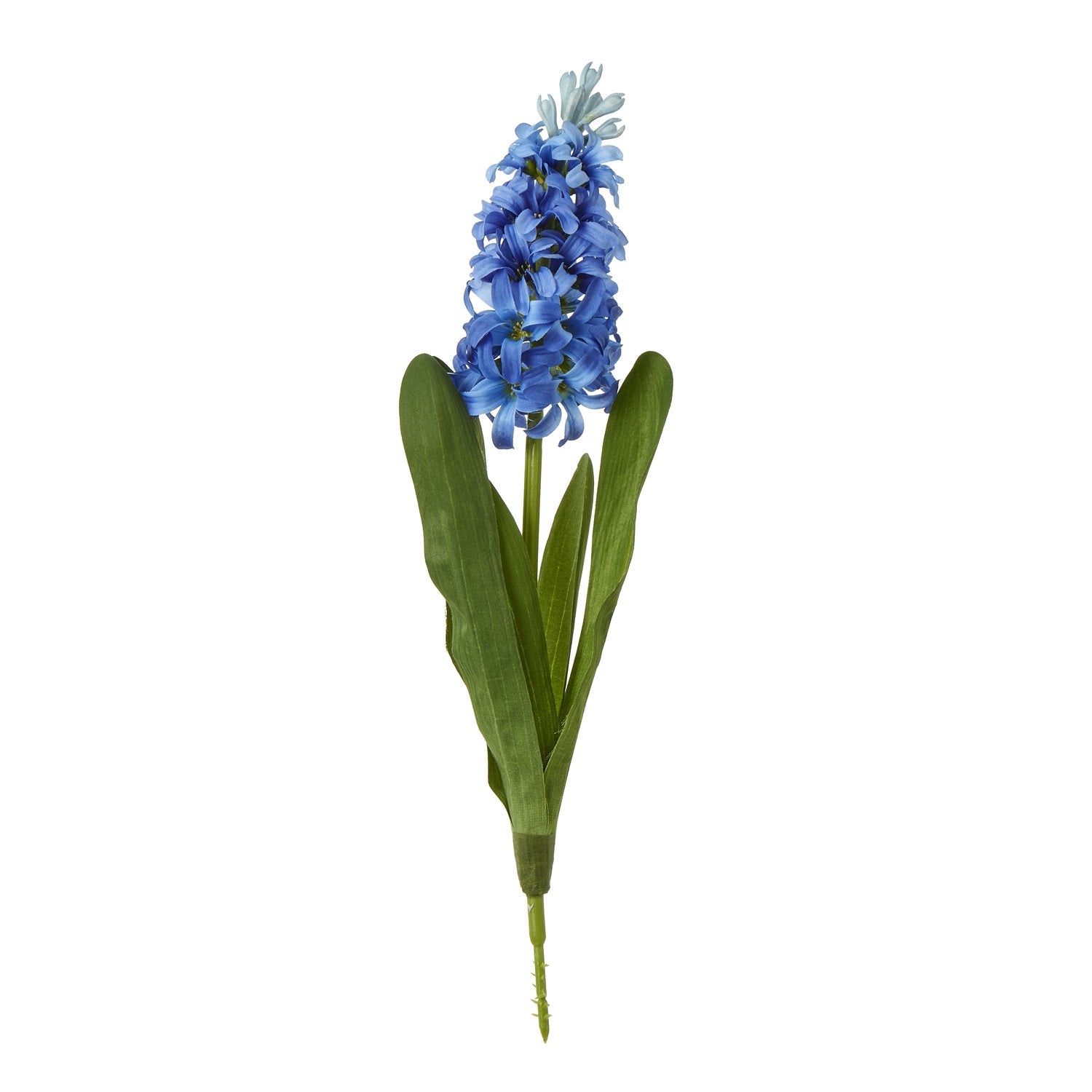 Blue Hyacinth Stem Makur Interior