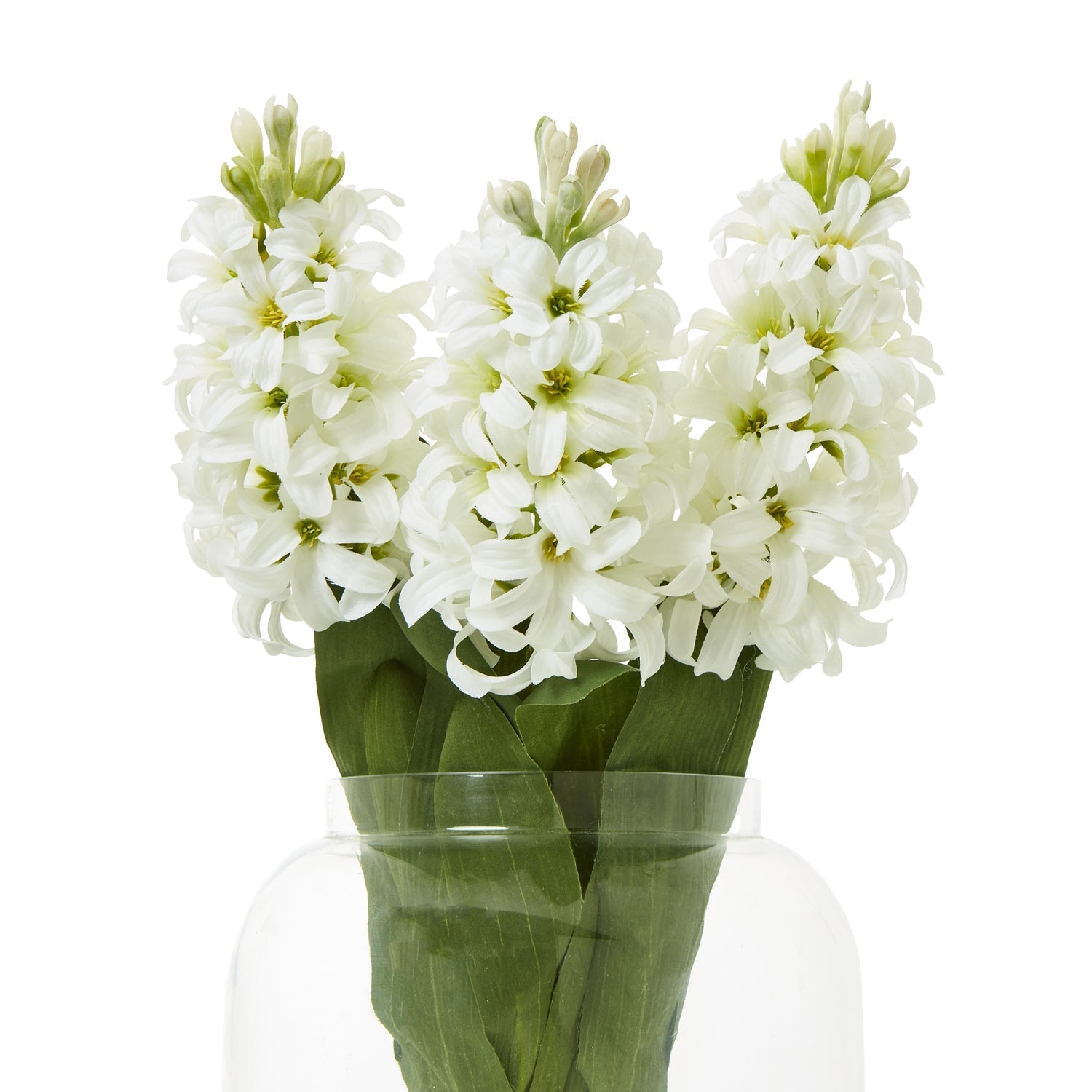 White Hyacinth Stem Makur Interior