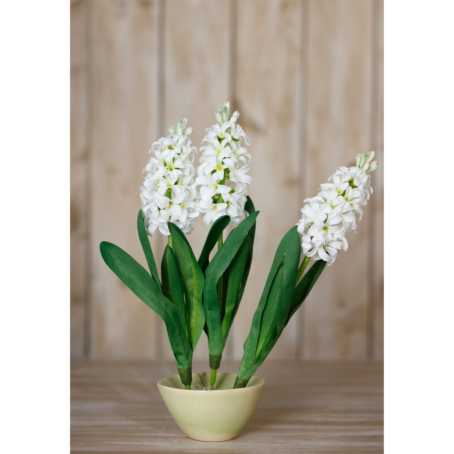 White Hyacinth Stem Makur Interior
