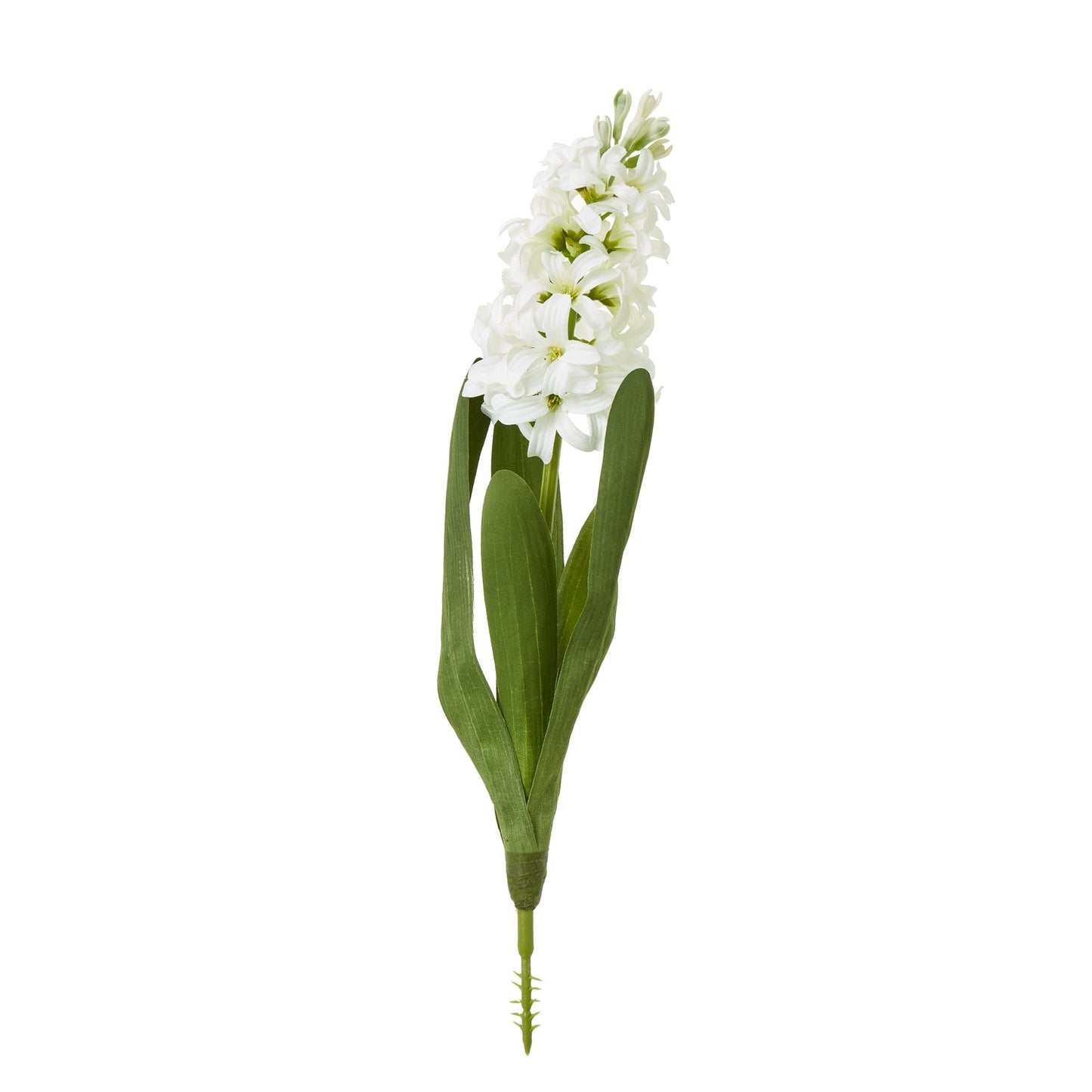 White Hyacinth Stem Makur Interior