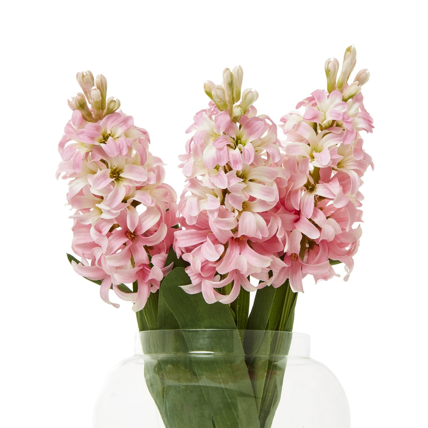 Pink Hyacinth Stem Makur Interior
