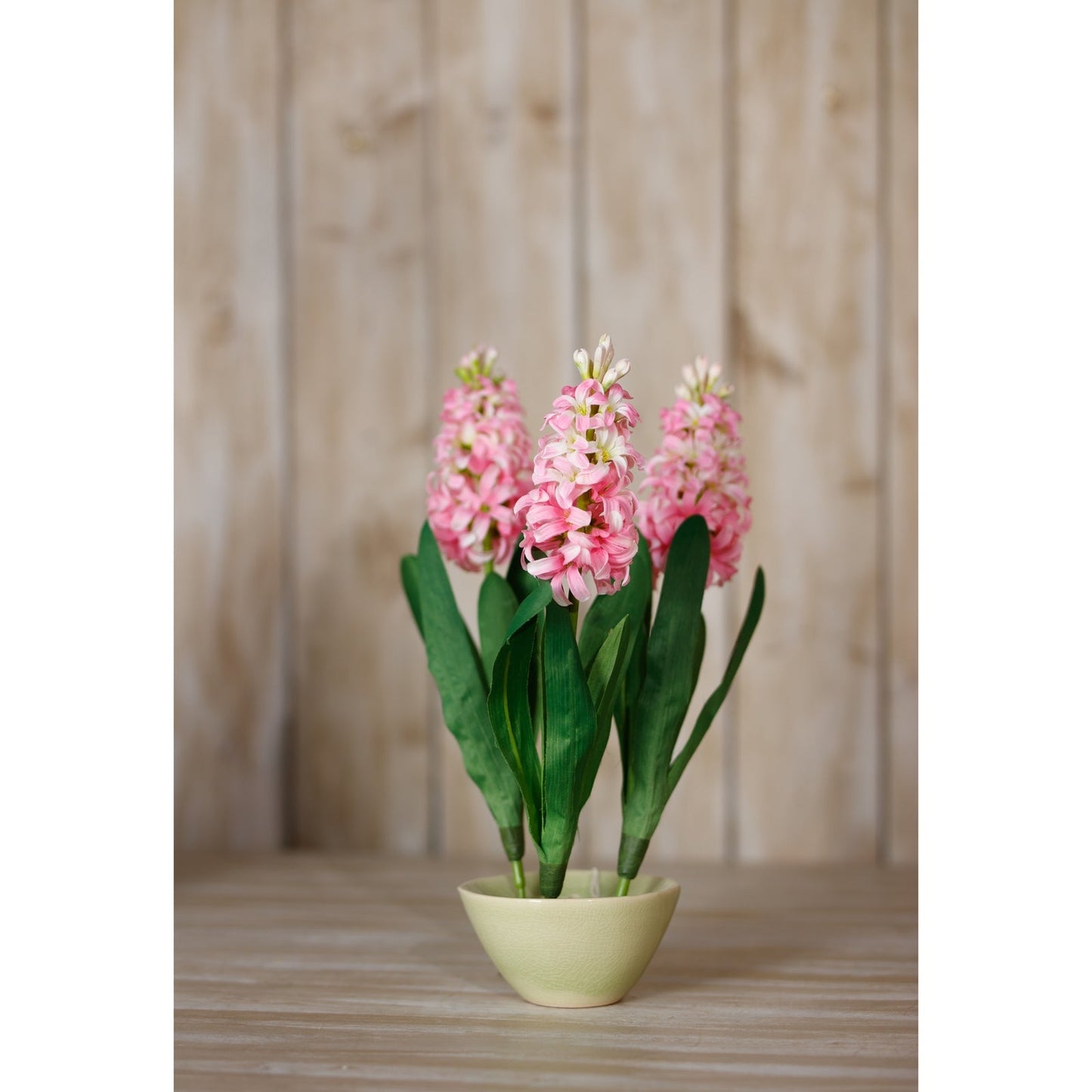 Pink Hyacinth Stem Makur Interior