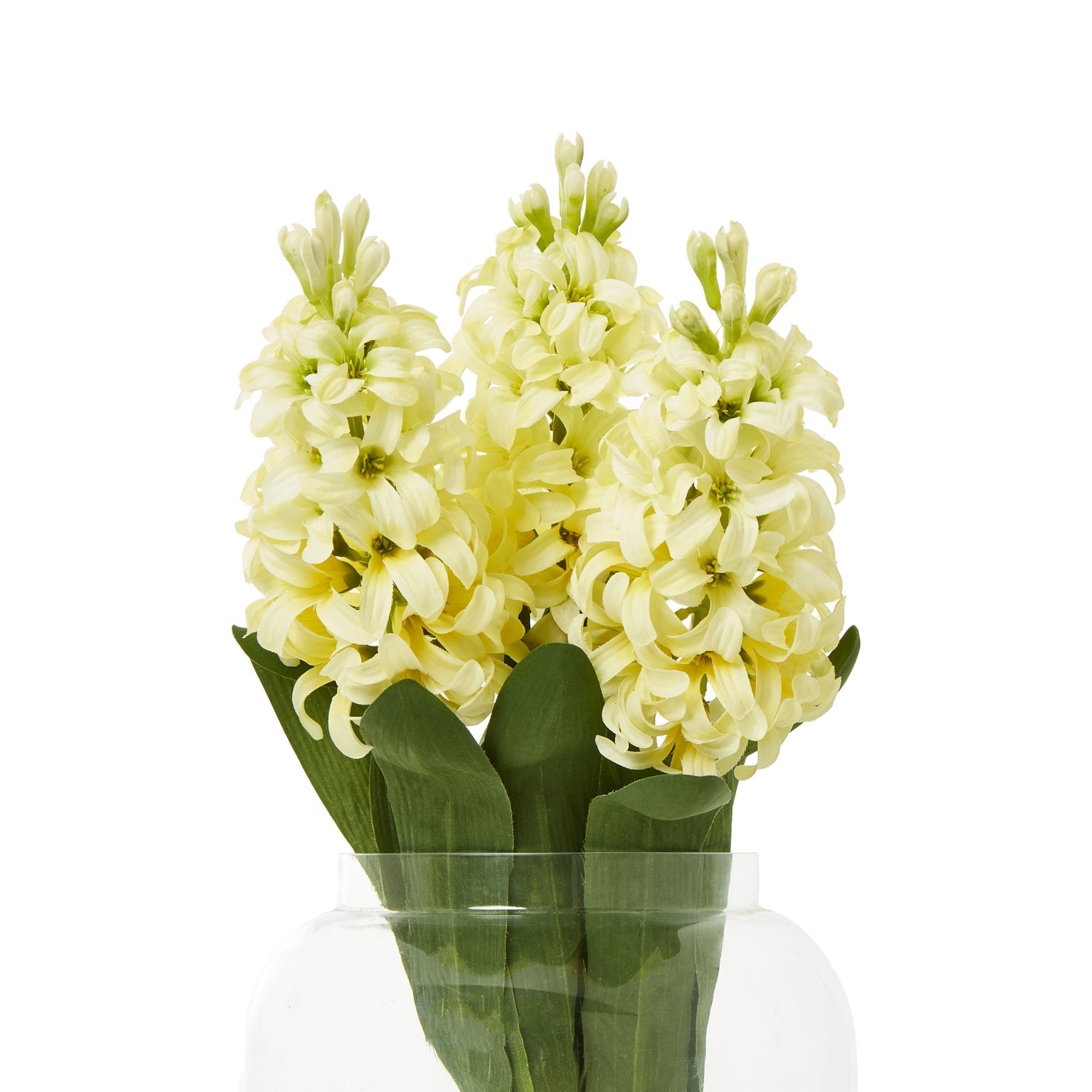 Yellow Hyacinth Stem Makur Interior