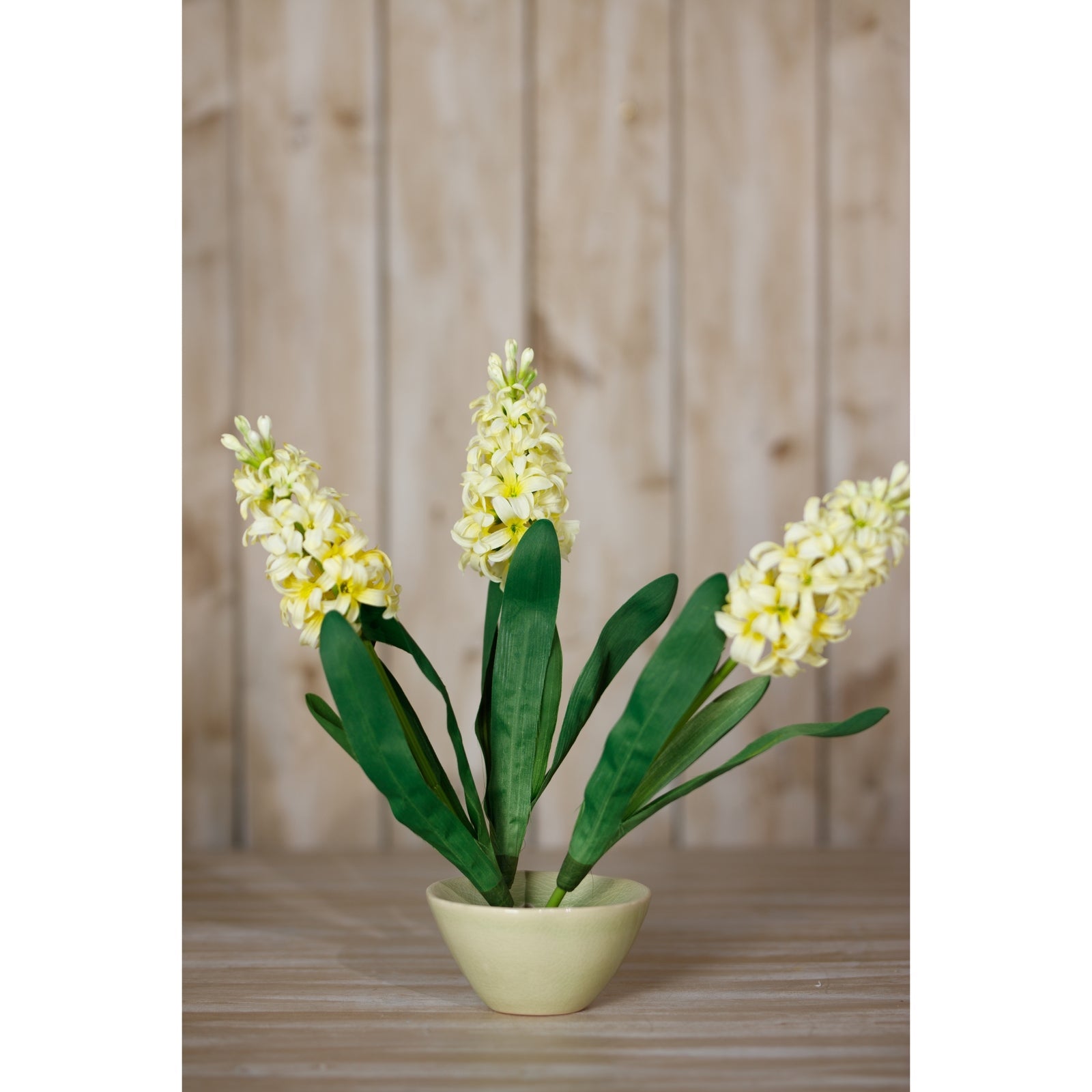 Yellow Hyacinth Stem Makur Interior